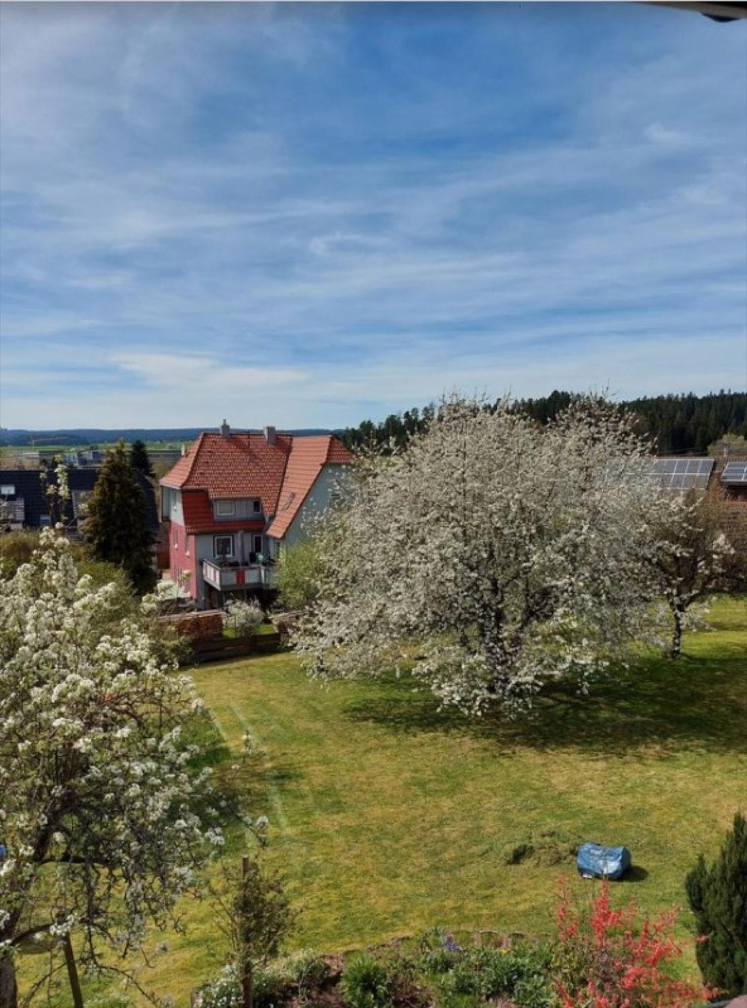 Schwarzwaldliebe