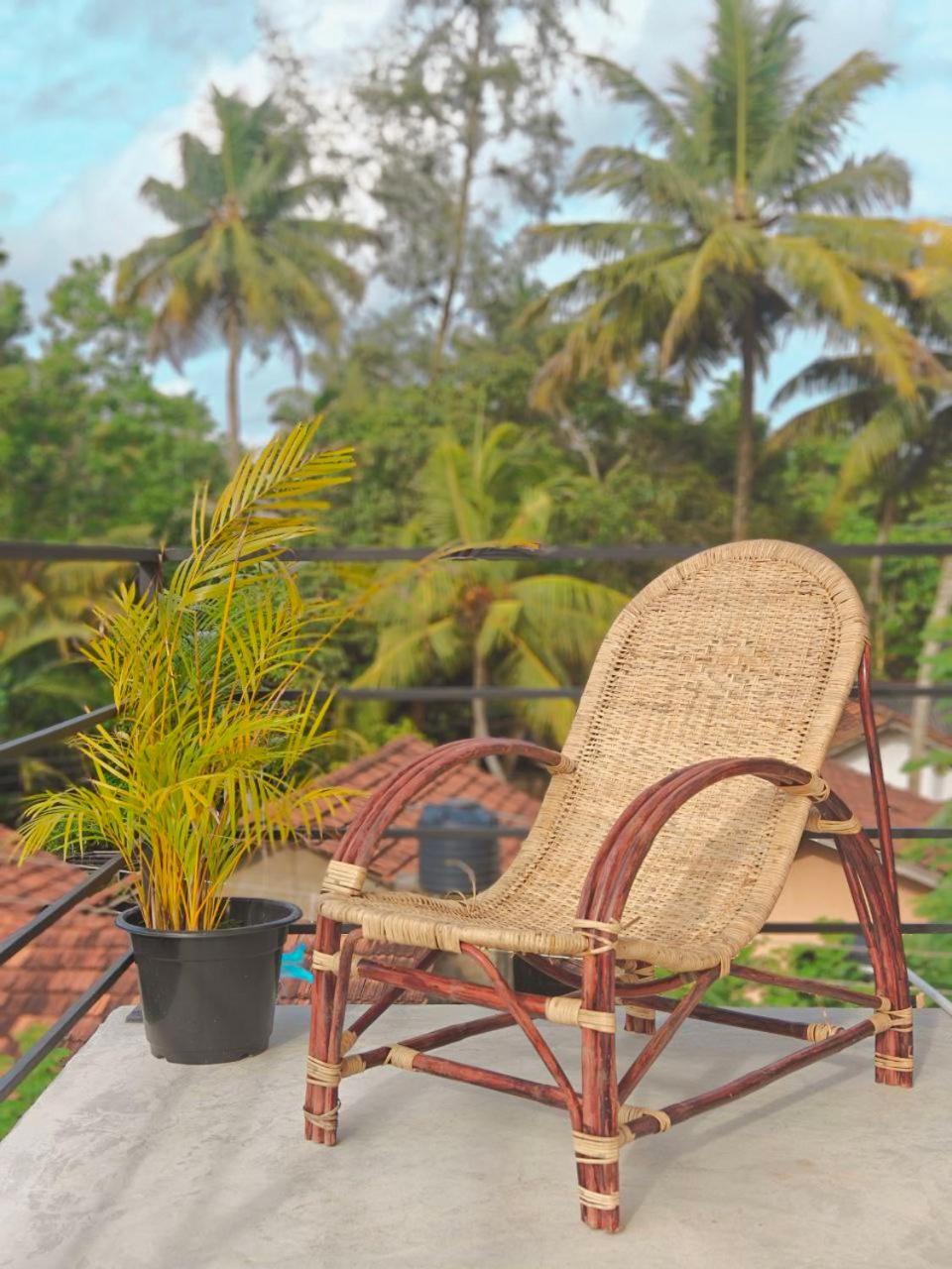 Friends Coliving Mirissa view 2