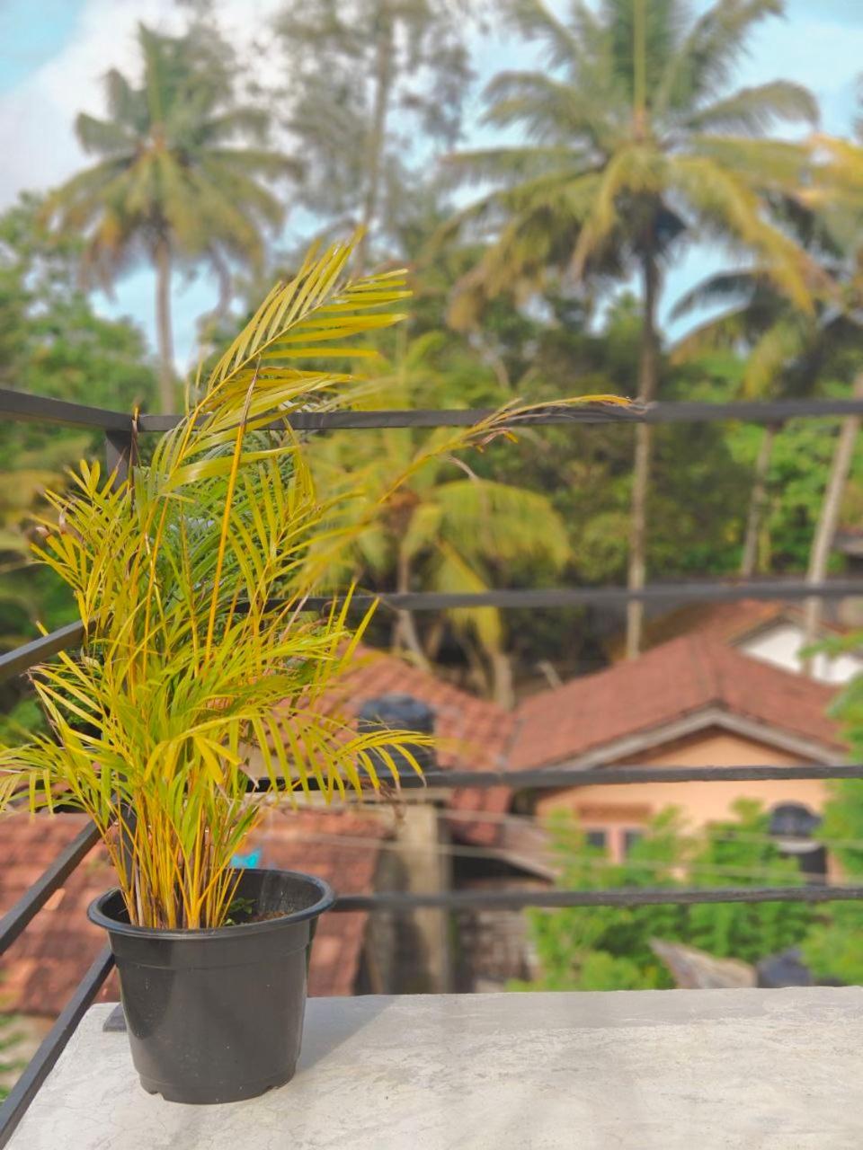 Friends Coliving Mirissa view 3
