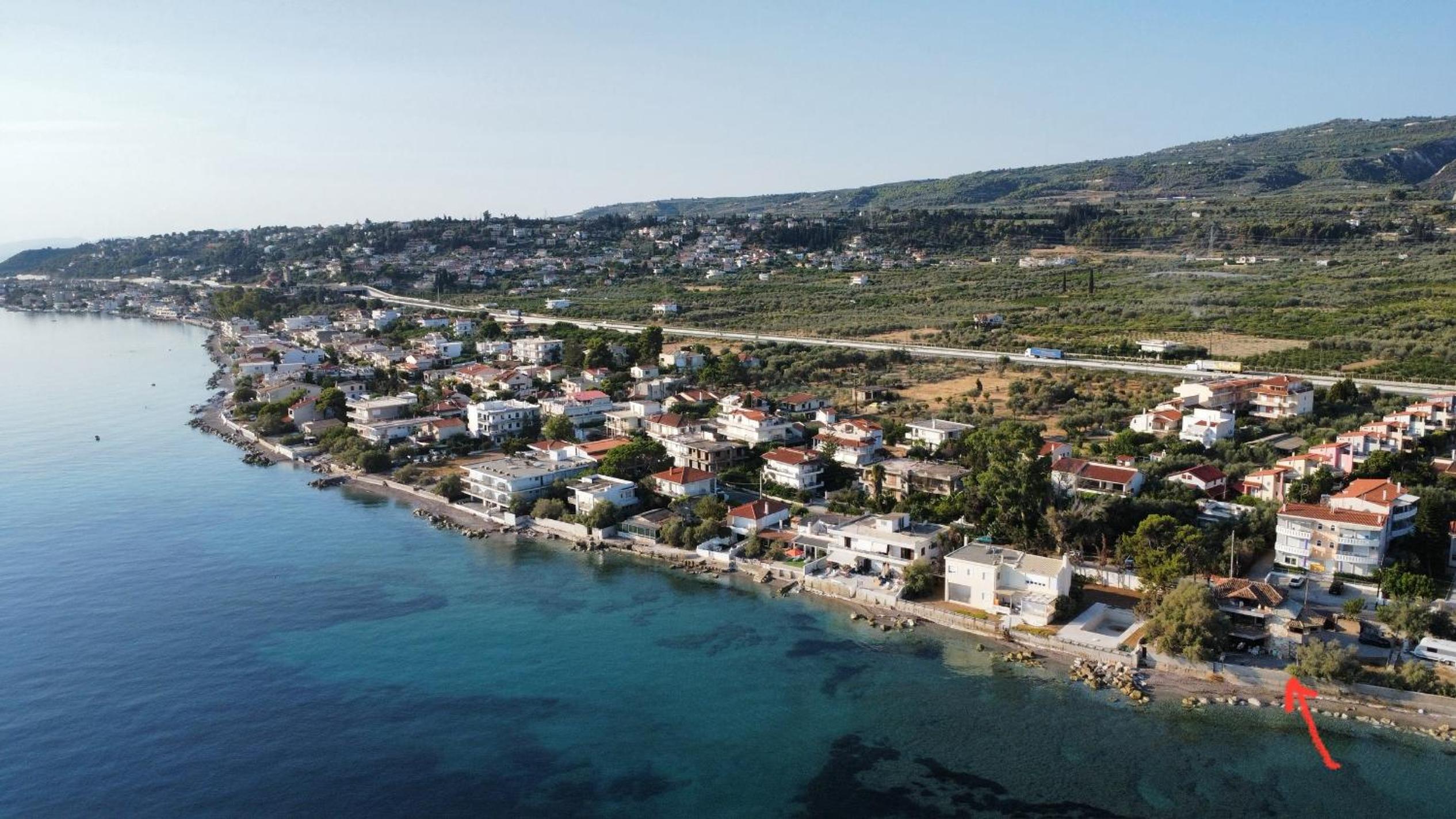 APIJA Studio
