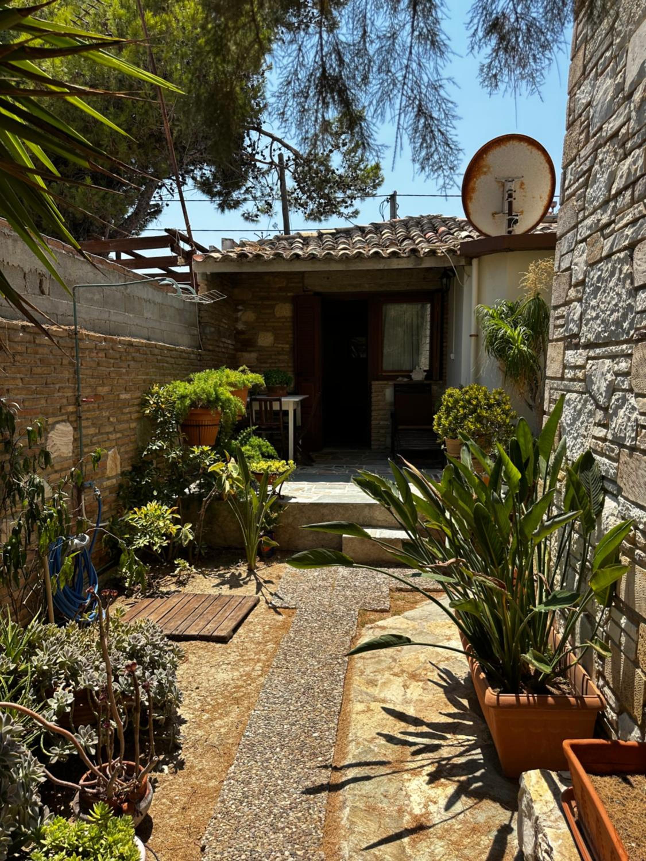 APIJA Studio