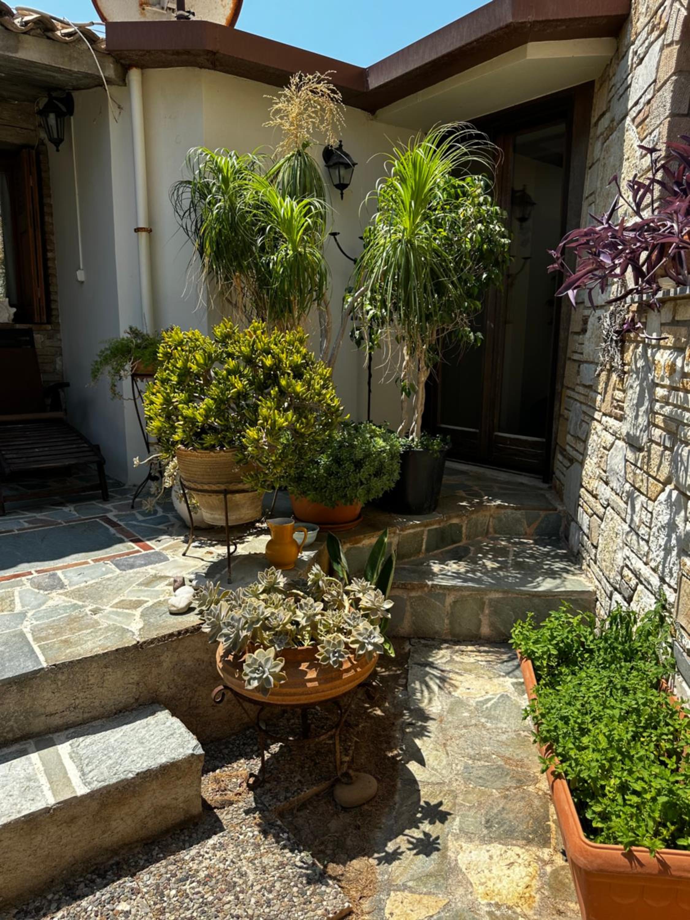 APIJA Studio