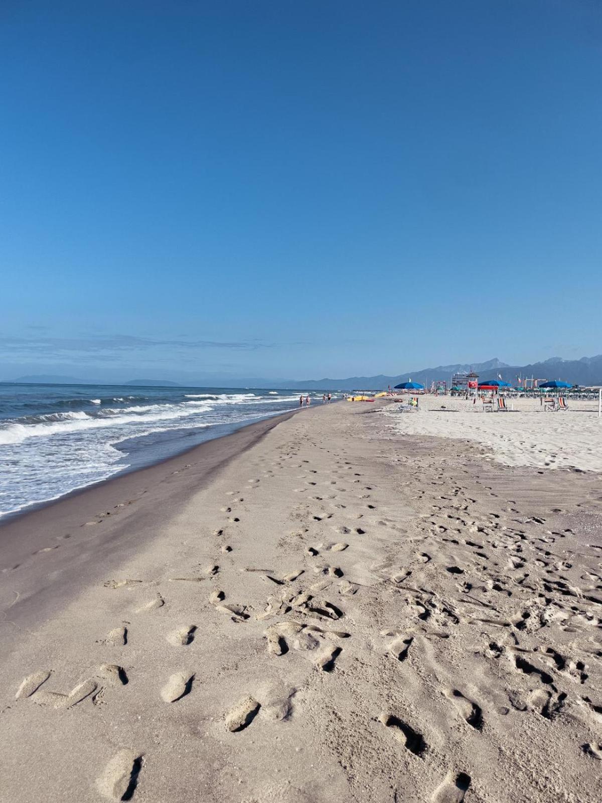 Viareggio Vacations - Glamping tent with bathroom - Tuscany next to sea! - Property Image 8