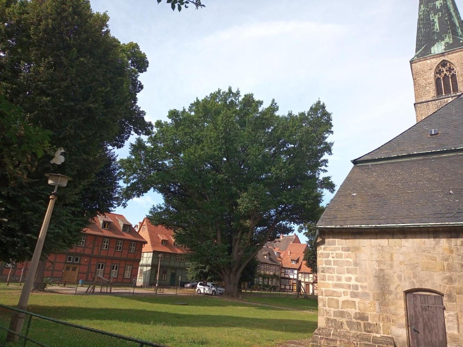 Maler Müllers Einfamilienhaus