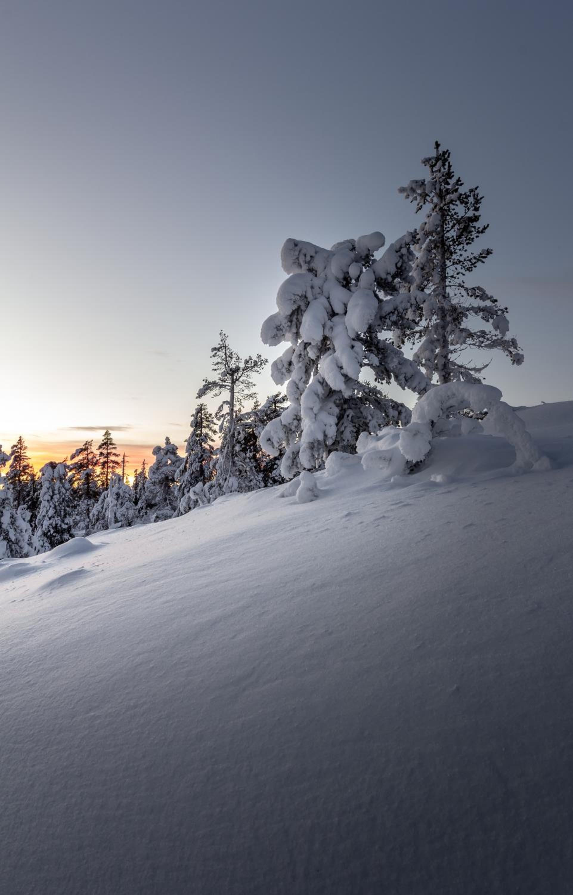 Lux Lapland Gielas Utsuvaara Levi