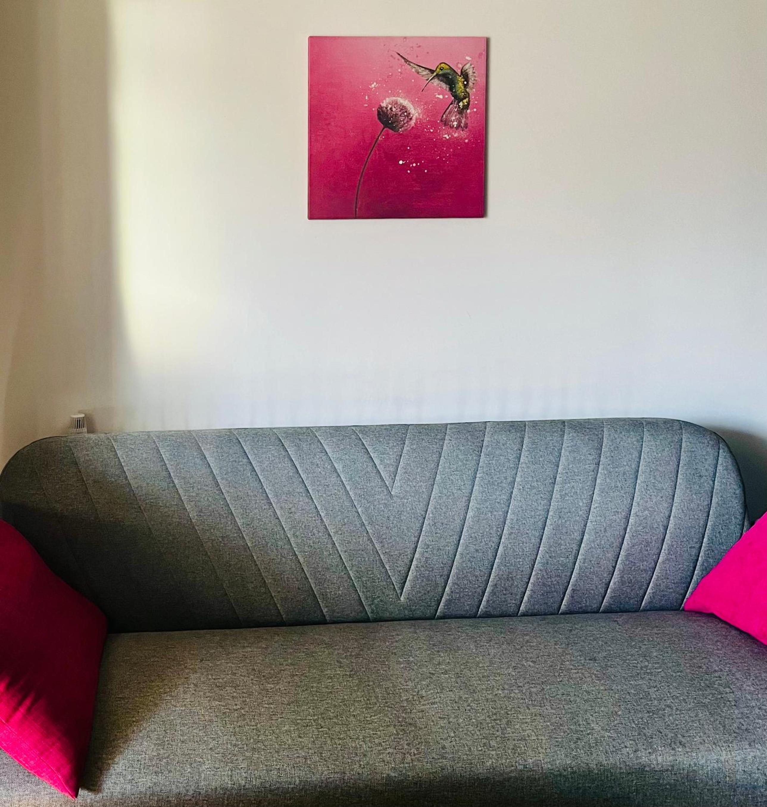 Colibri Studio