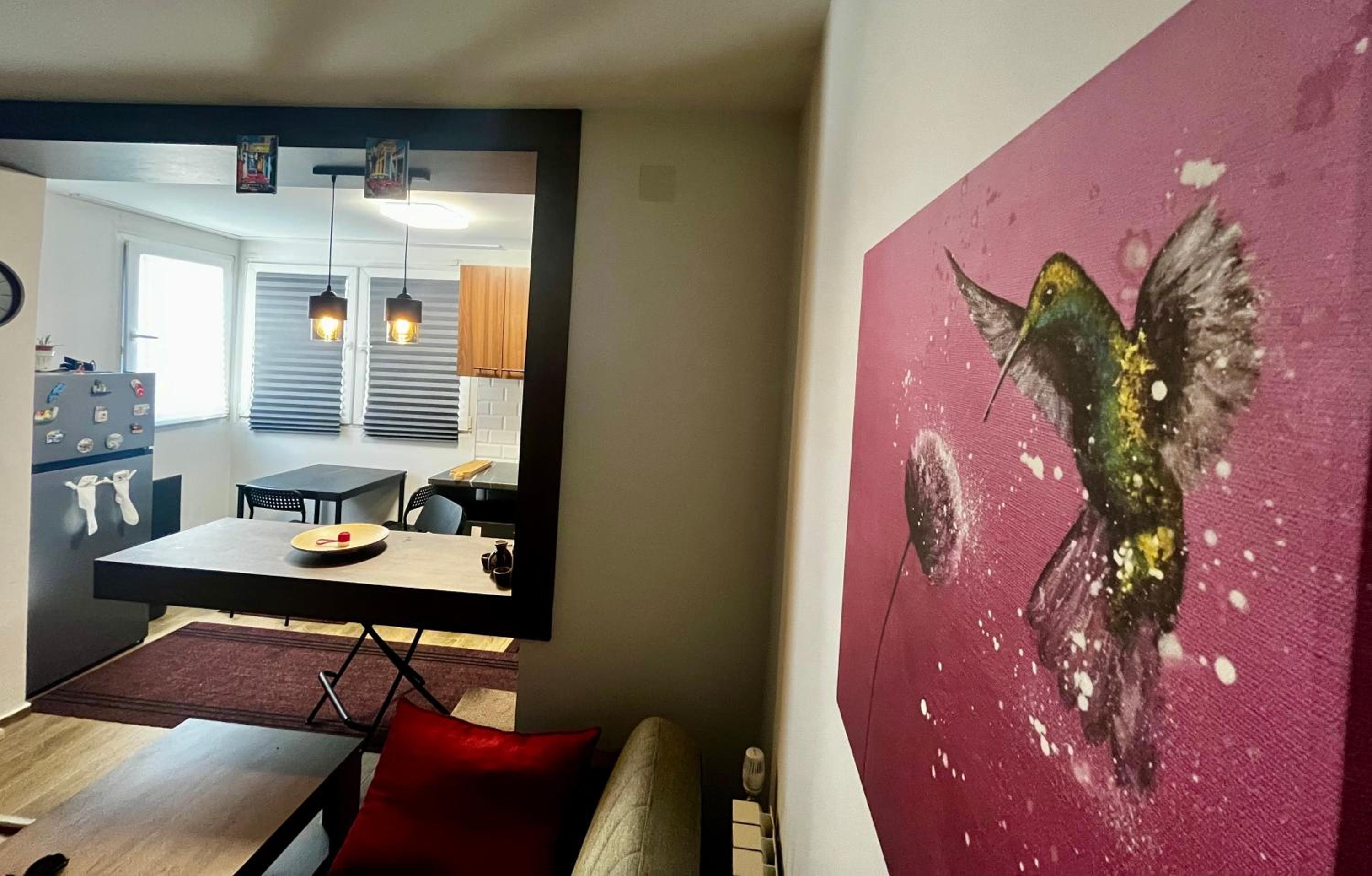 Colibri Studio