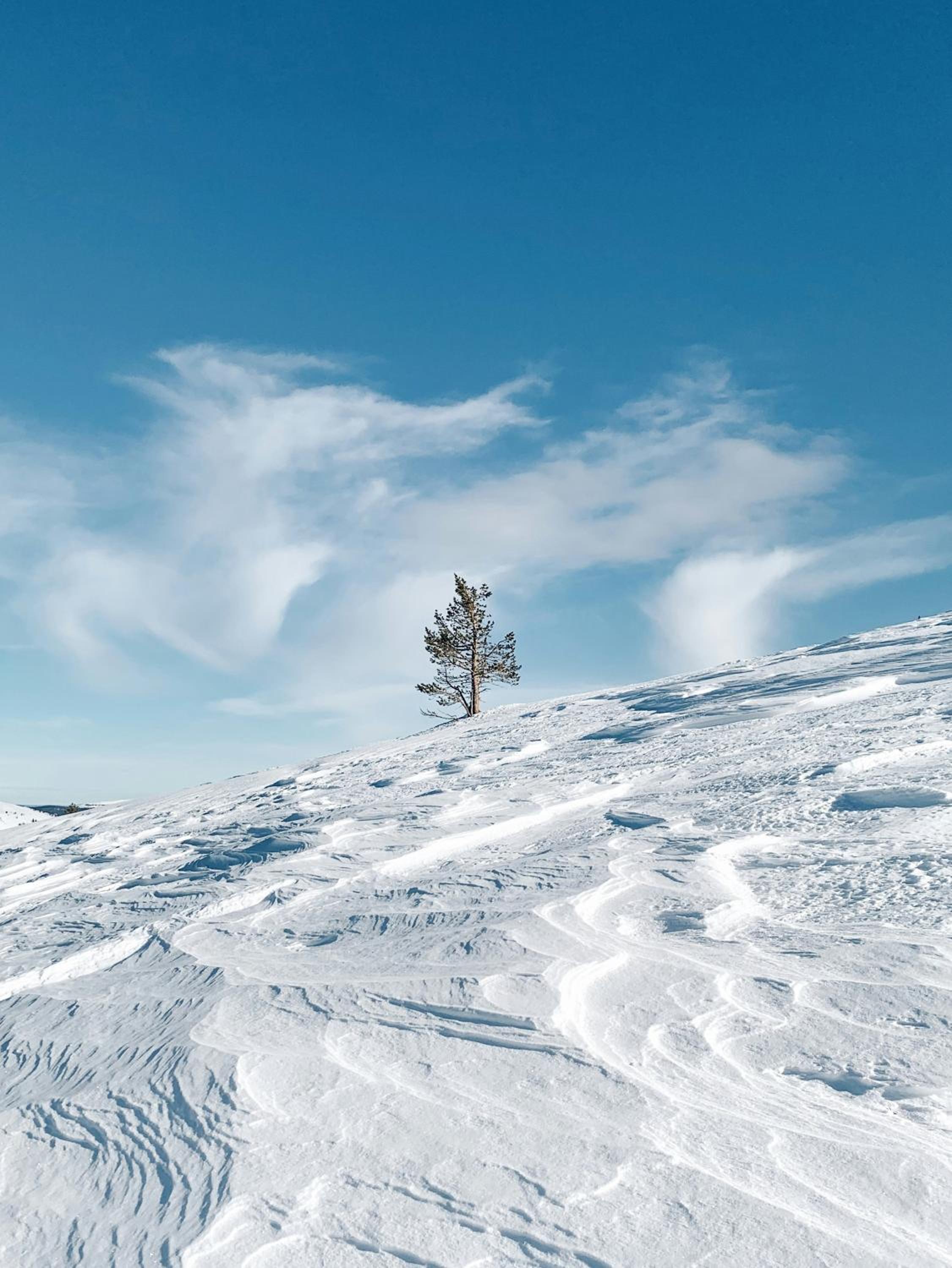 Lux Lapland Gielas Utsuvaara Levi