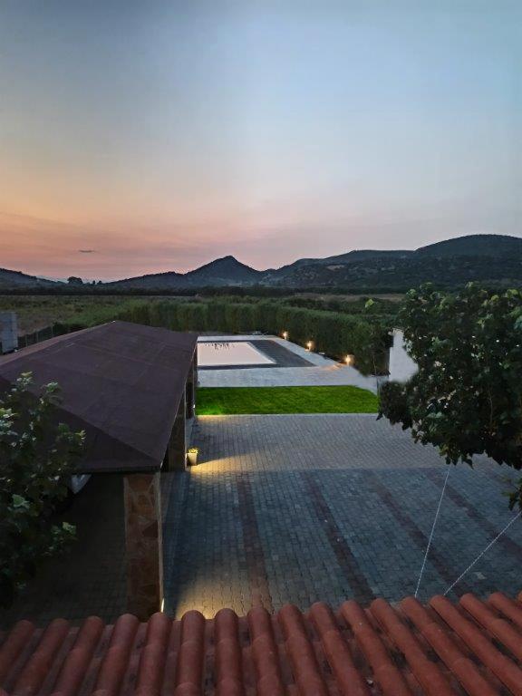 Evelina's studio view 4