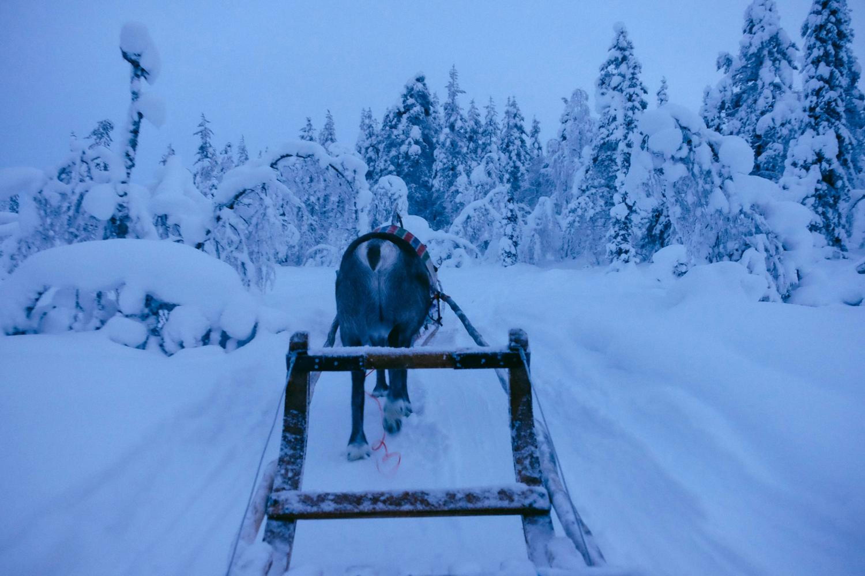 Lux Lapland Gielas Utsuvaara Levi