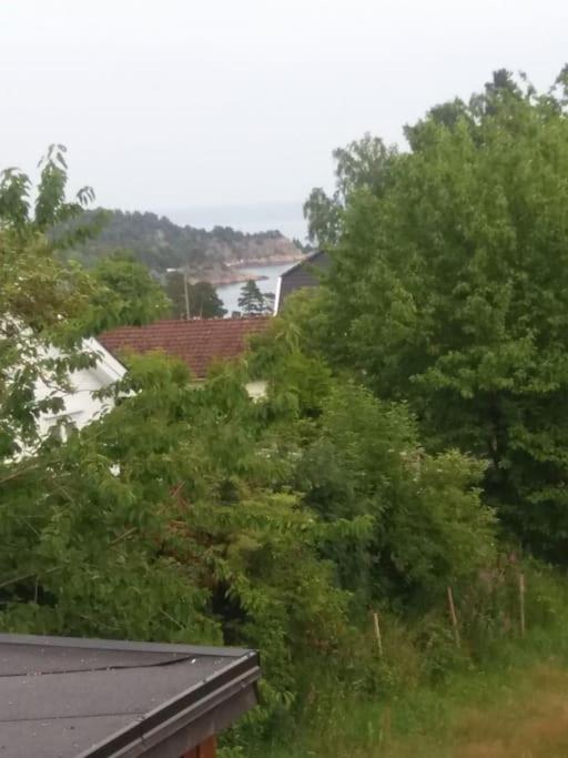 House in Fevik for vacation, and Arendal week view 4