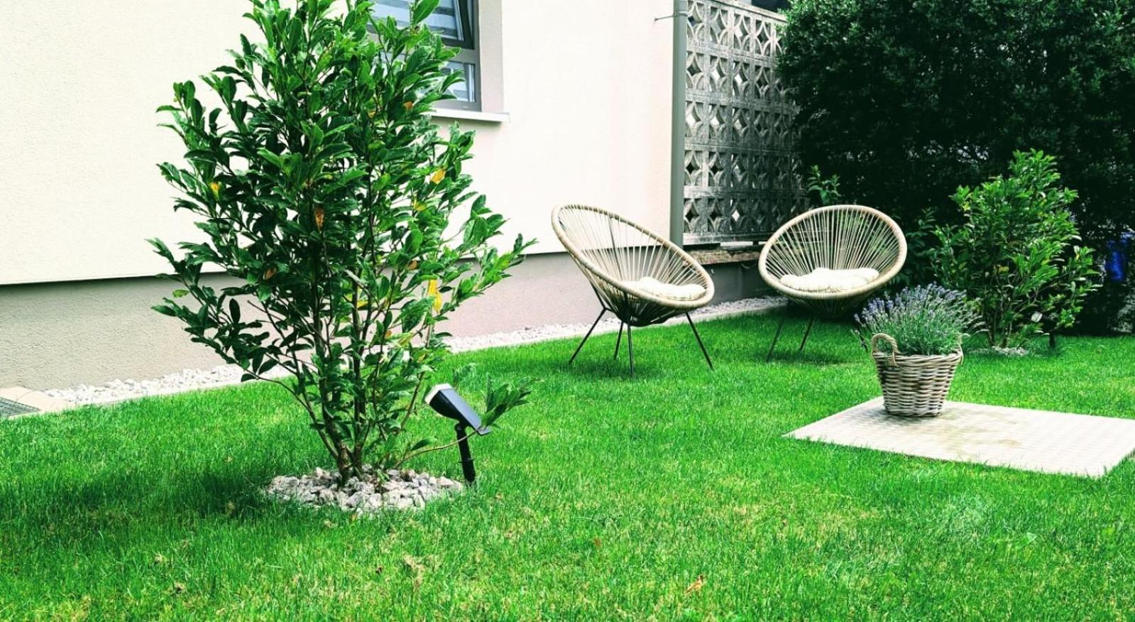 Blackforest Apartment Schömberg