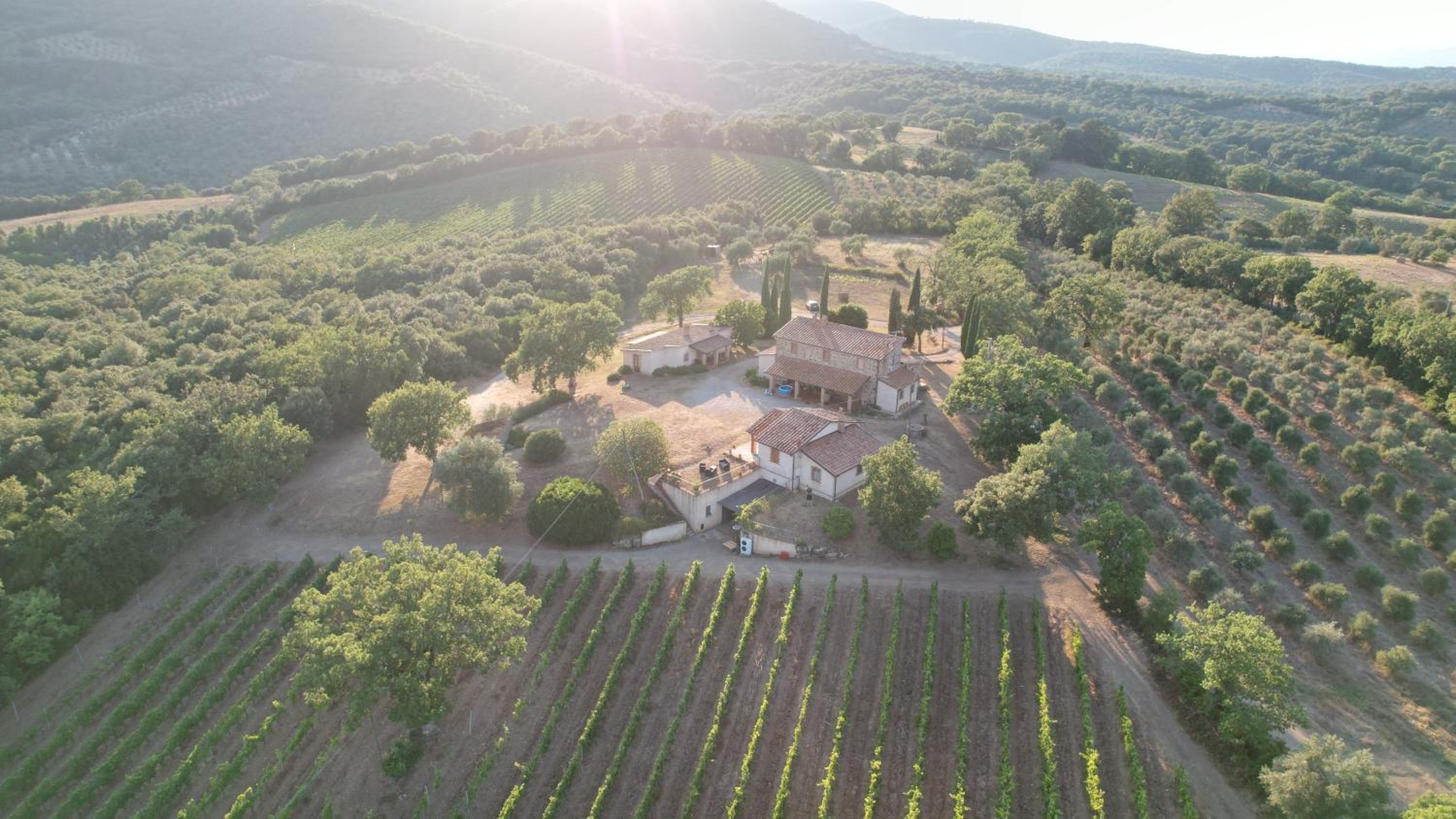 Agriturismo Belvedere Di Pierini E Brugi