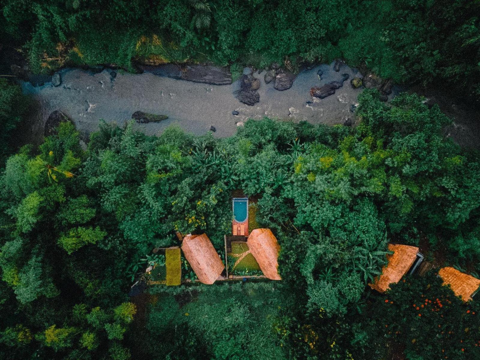 Mahajiva