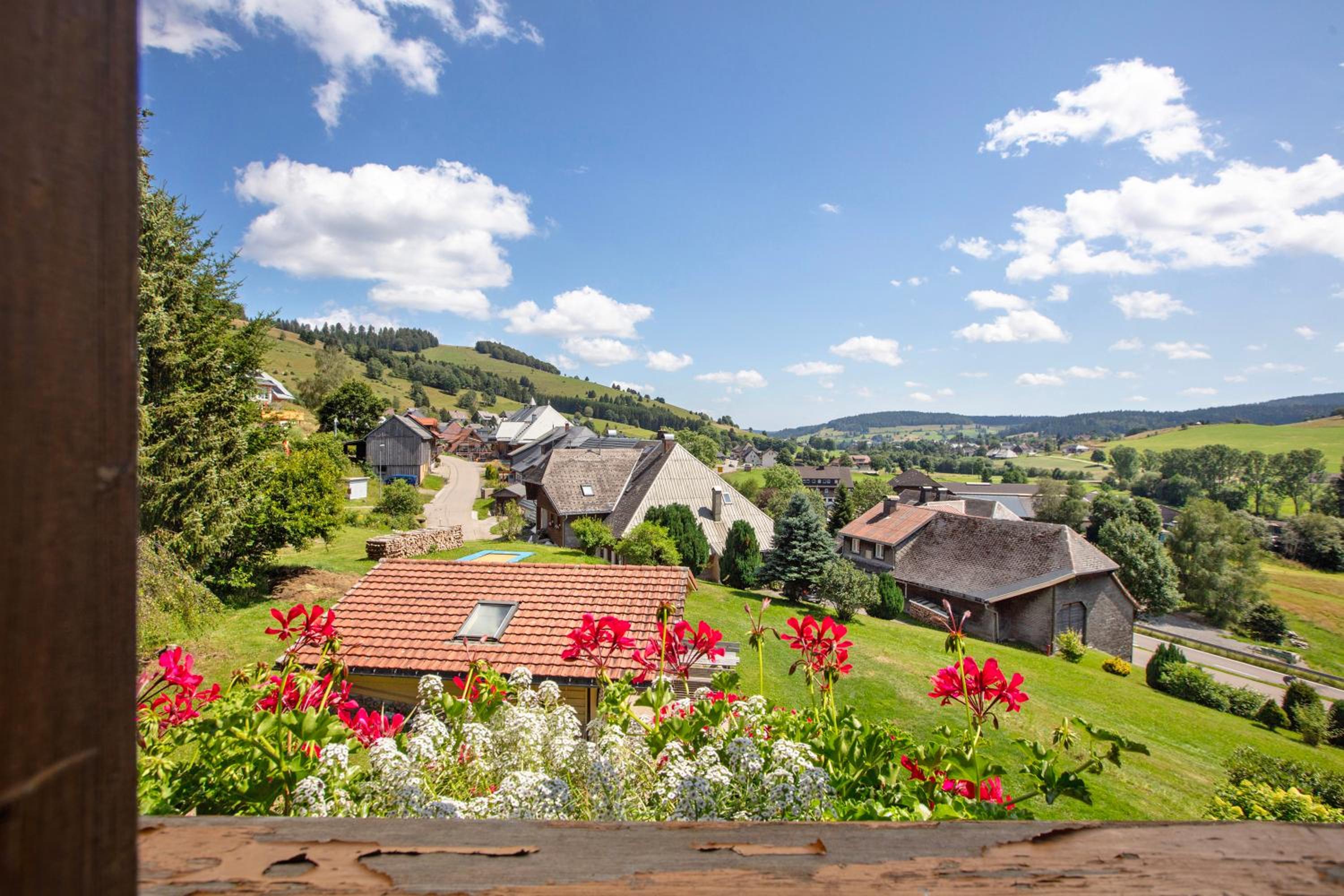 Appartment Bergblick