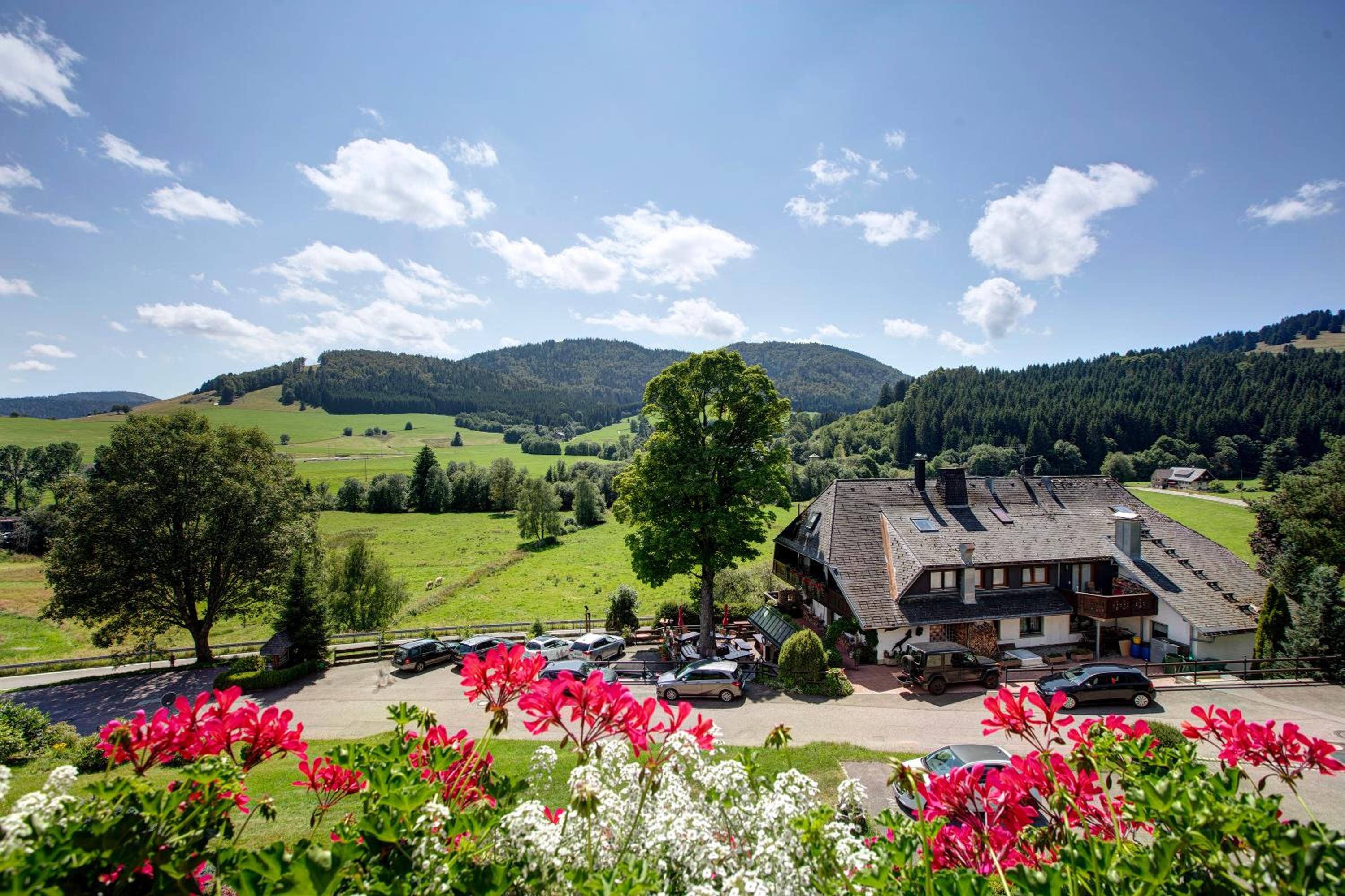 Appartment Bergblick