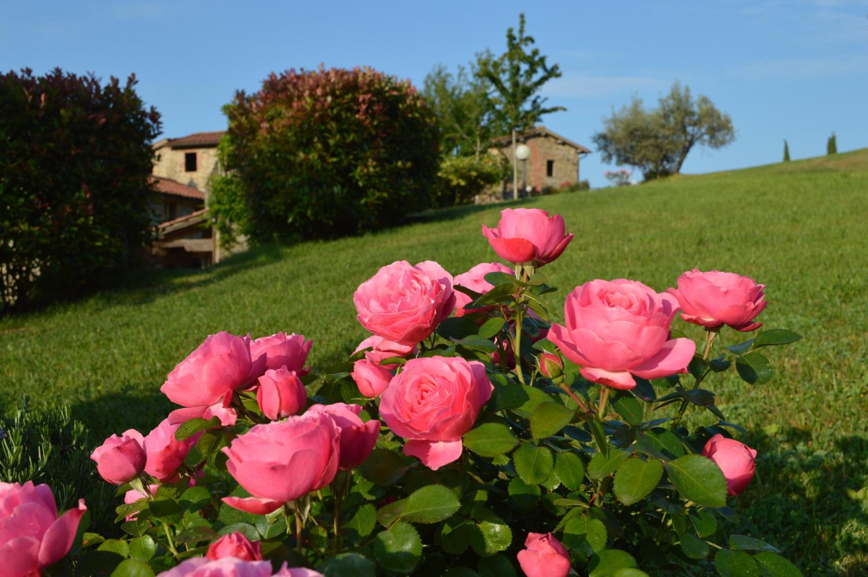 Villa Podere Terrena