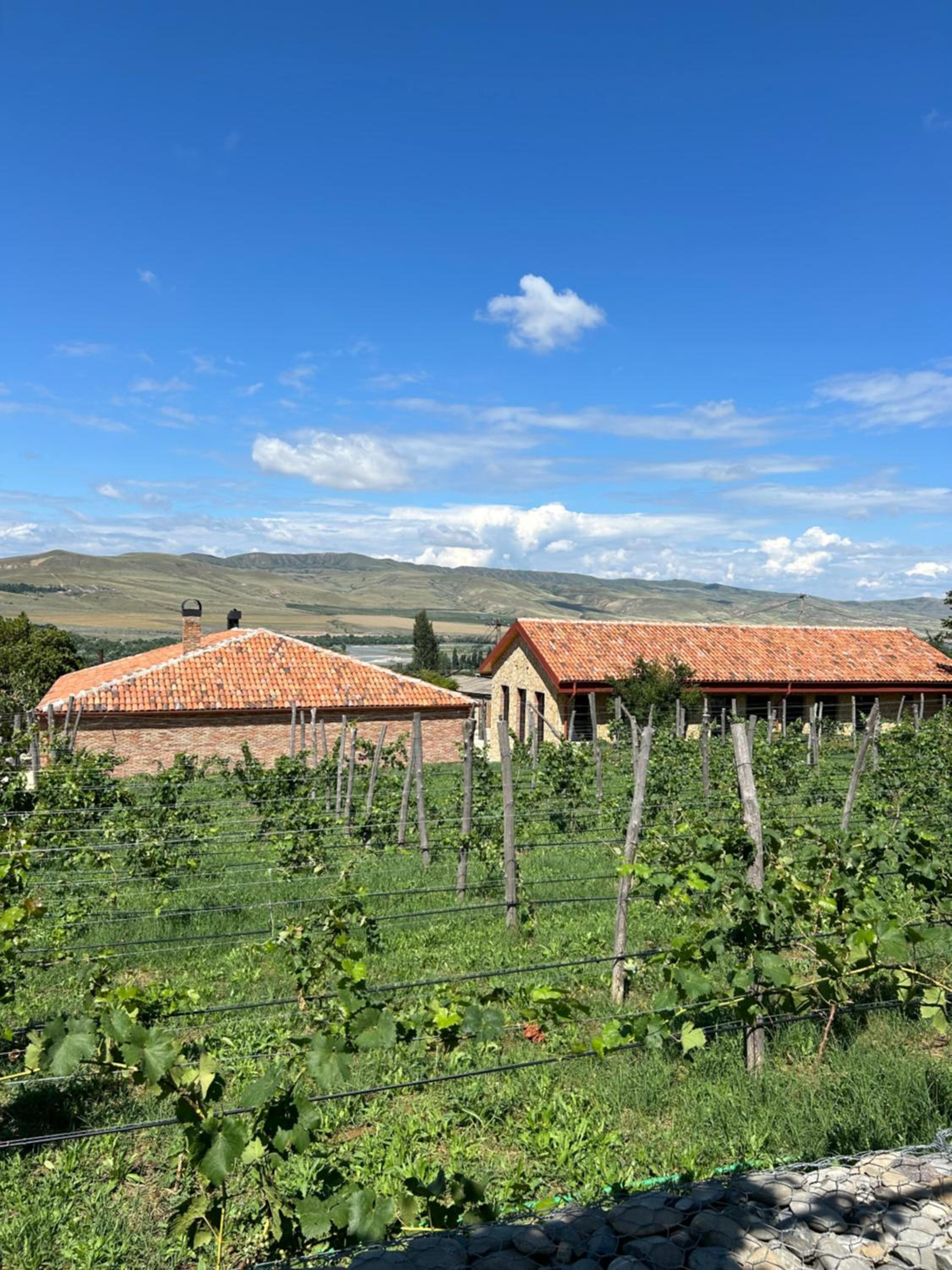 Peradze Wine Cellar Vineyard Cottages