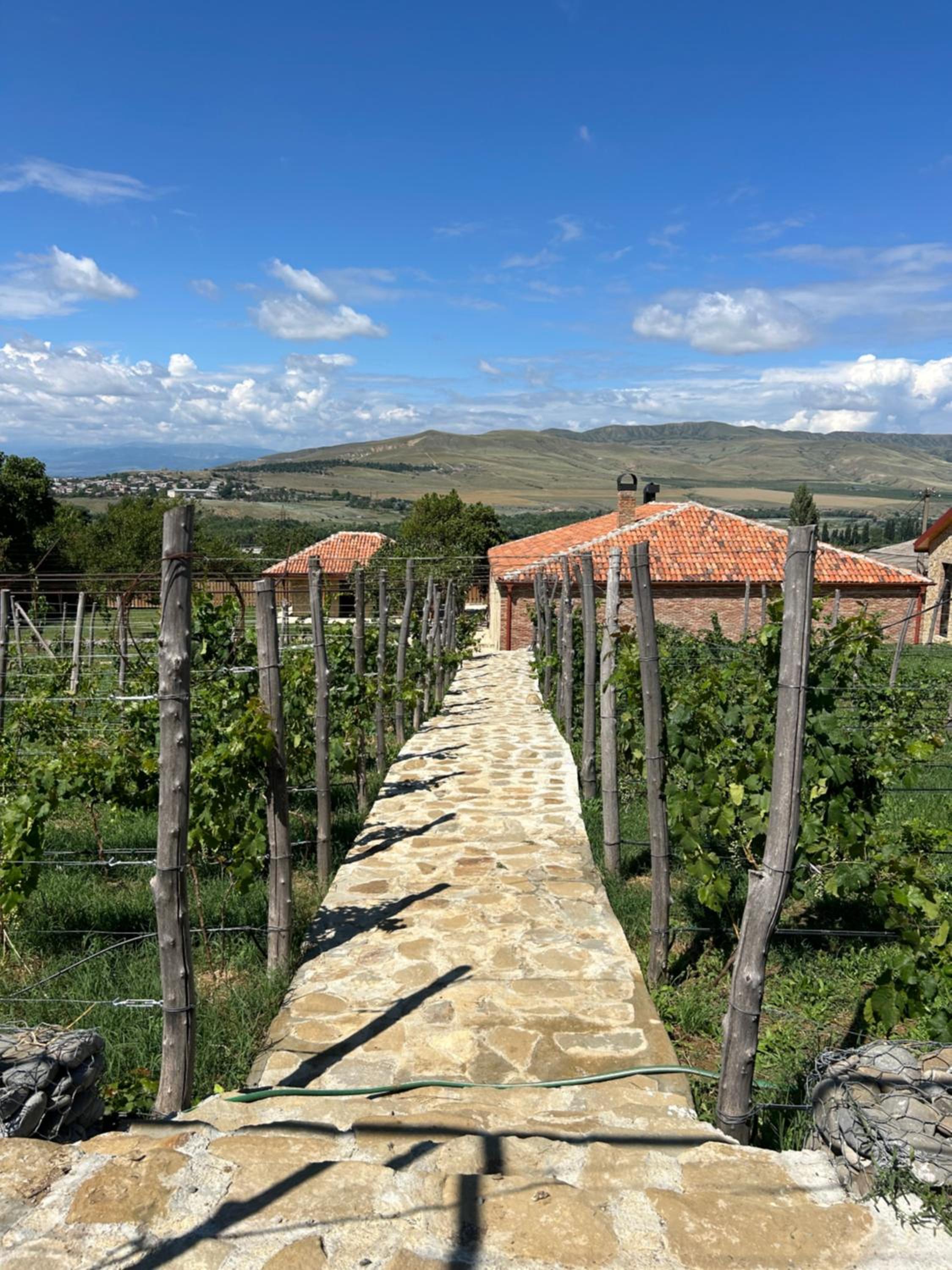 Peradze Wine Cellar Vineyard Cottages