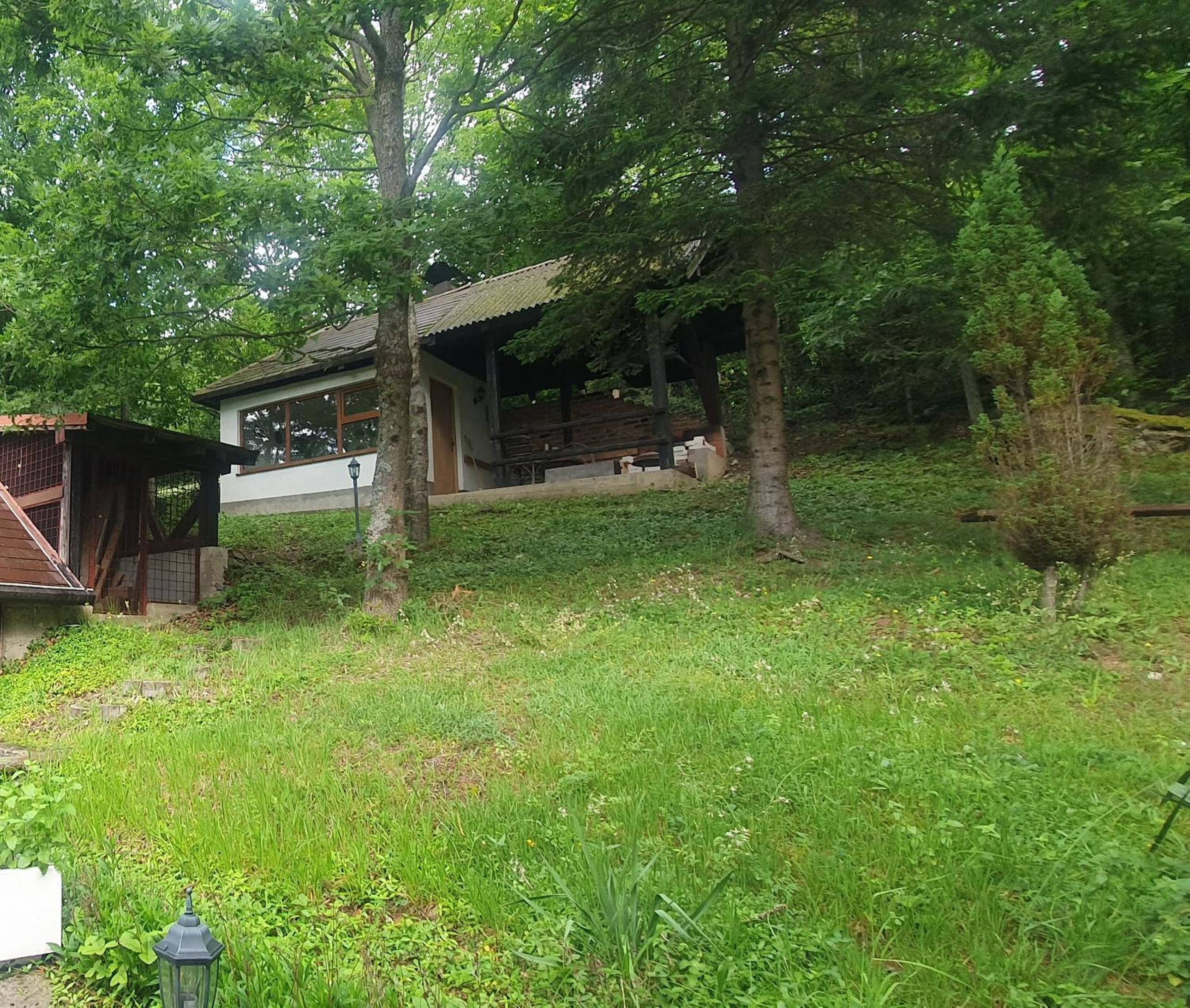 WOLF'S PLANE Luxury Isolated Mountain House for Digital Nomads