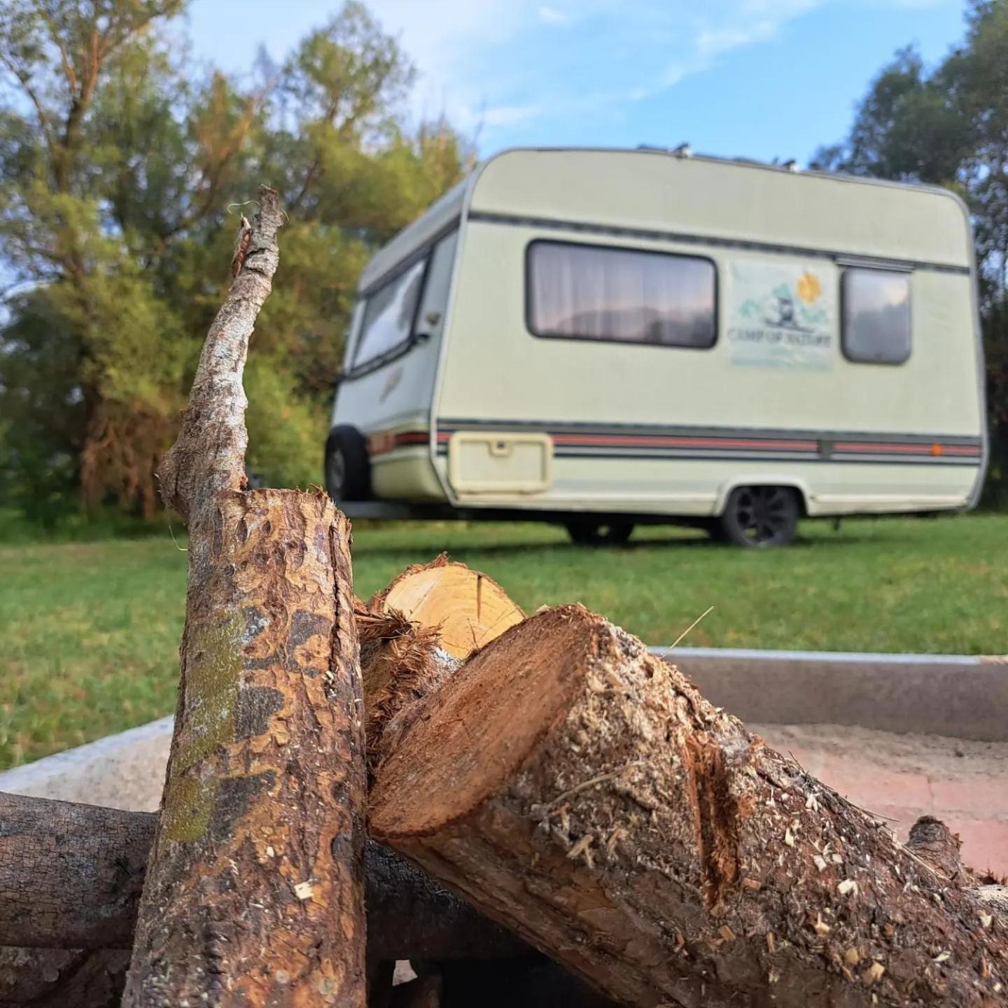 Camp of Nature