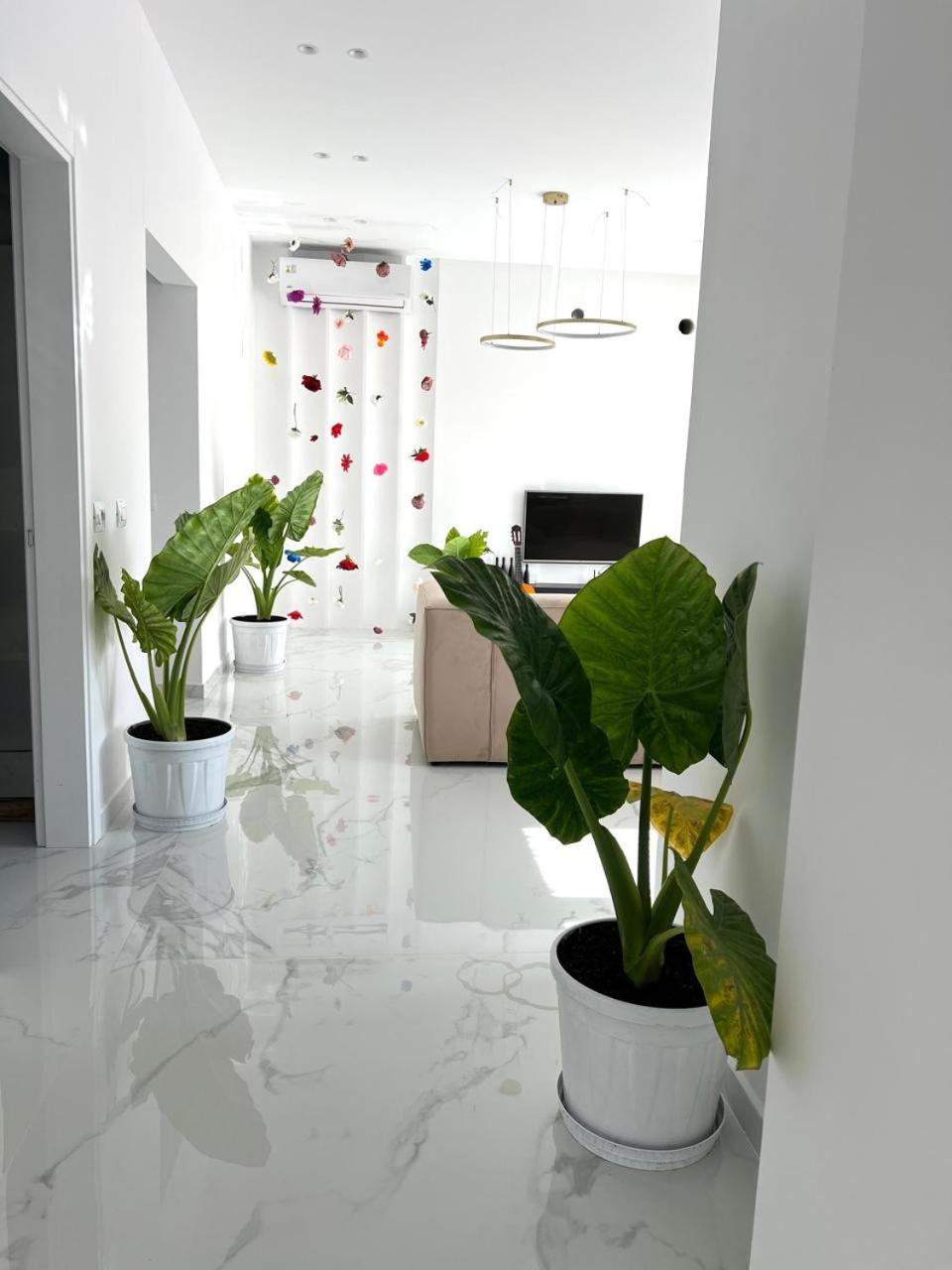 Home DeLuis