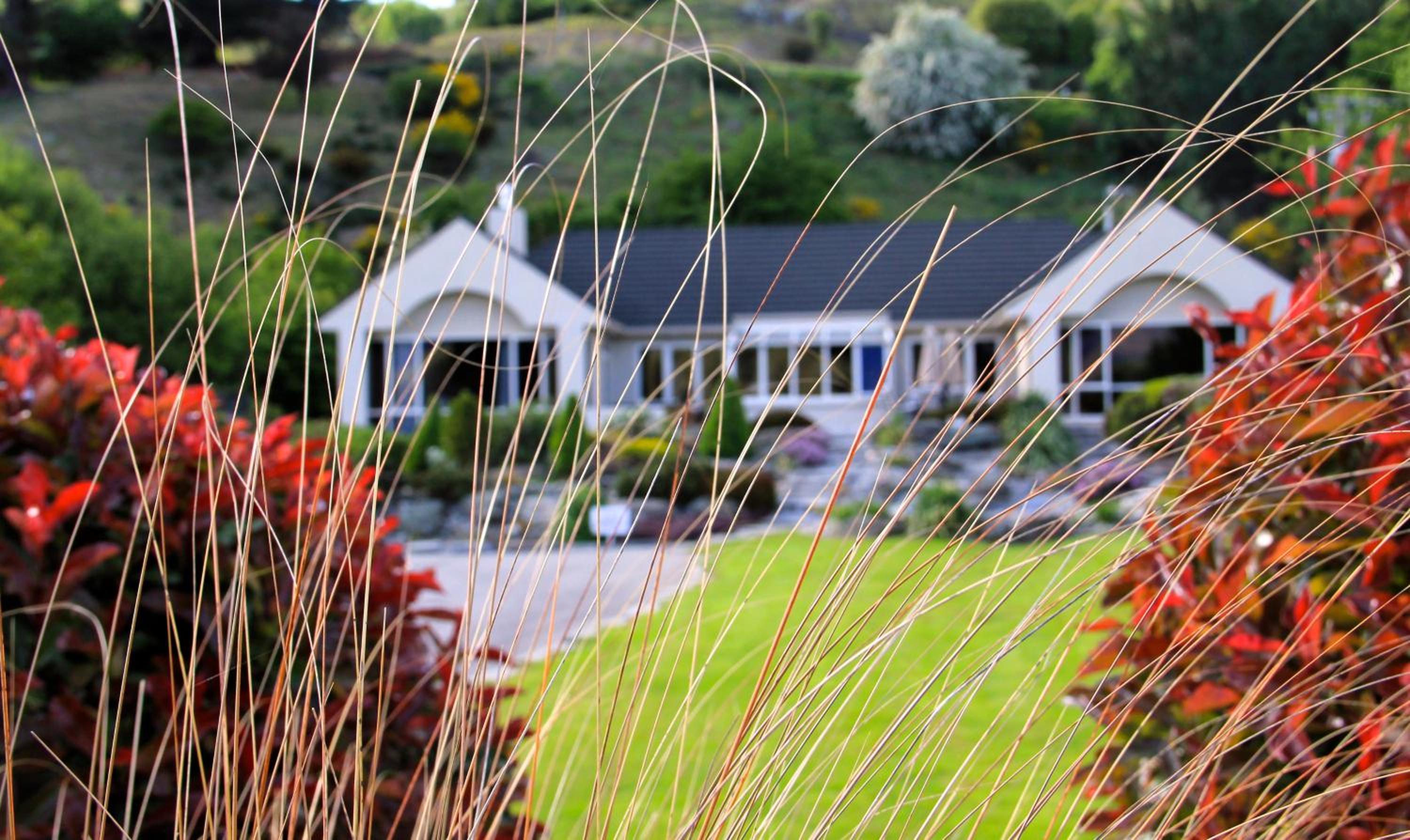 The Shan's Lodge