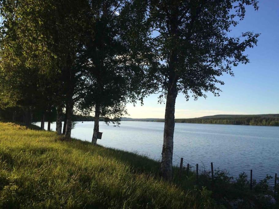 Photo 22