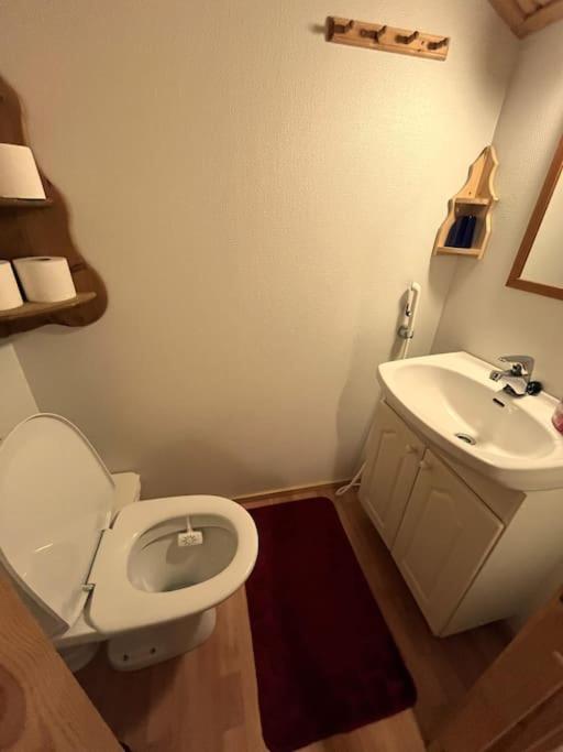 Lapland Cabin Levi