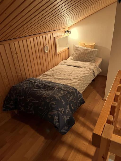Lapland Cabin Levi