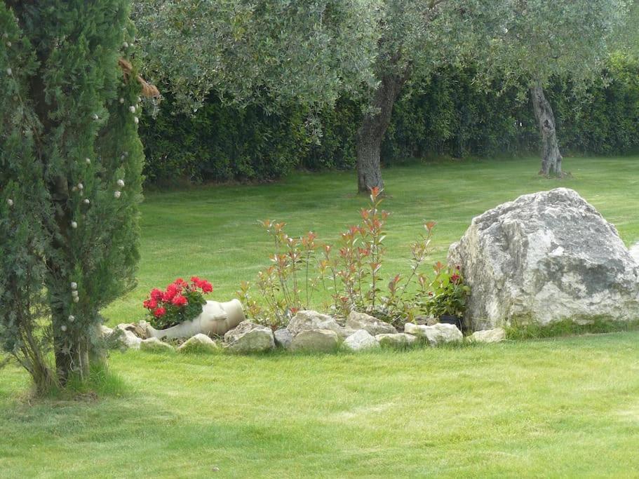 Photo 61