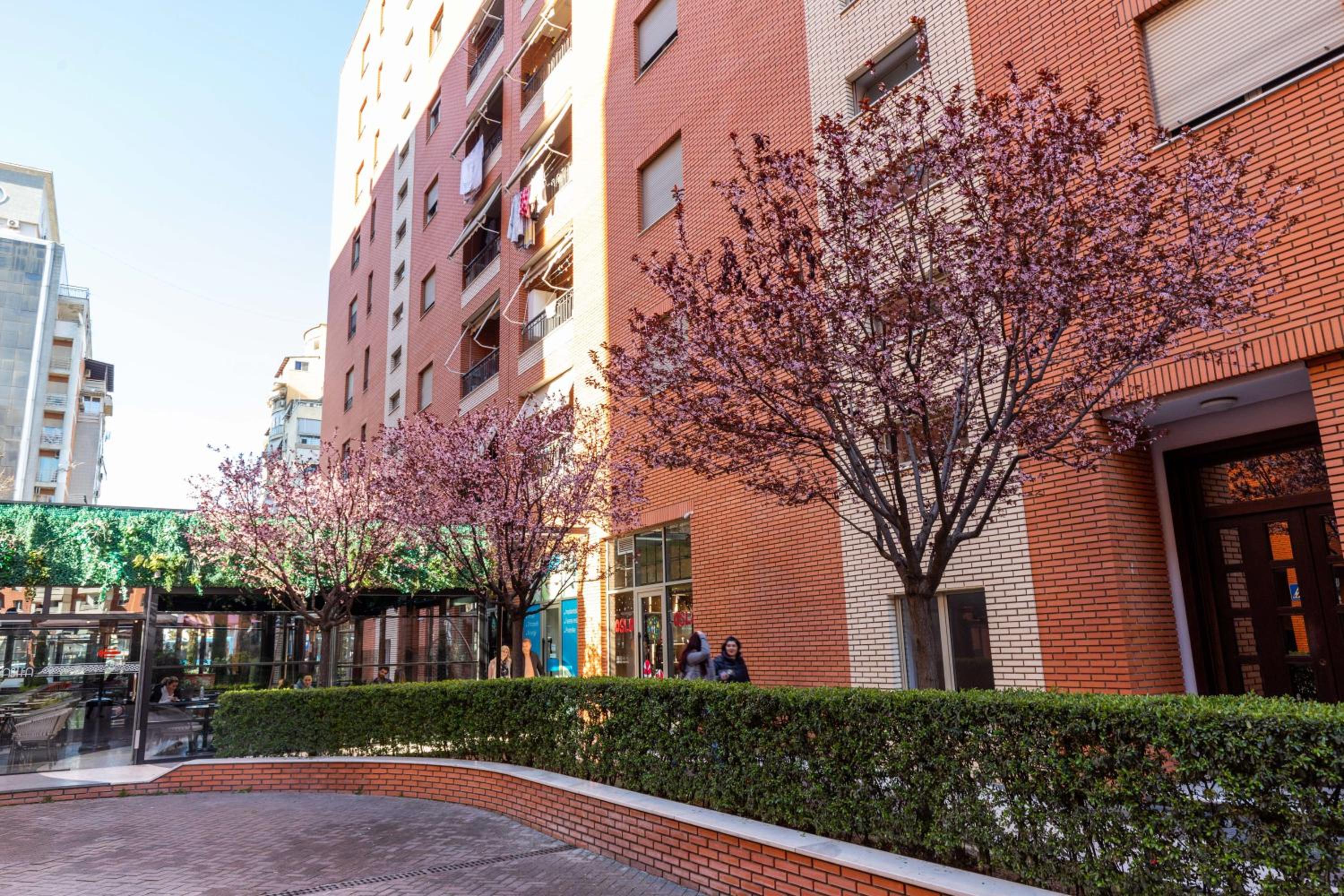 Lux Condo Apartment at Delijorgji