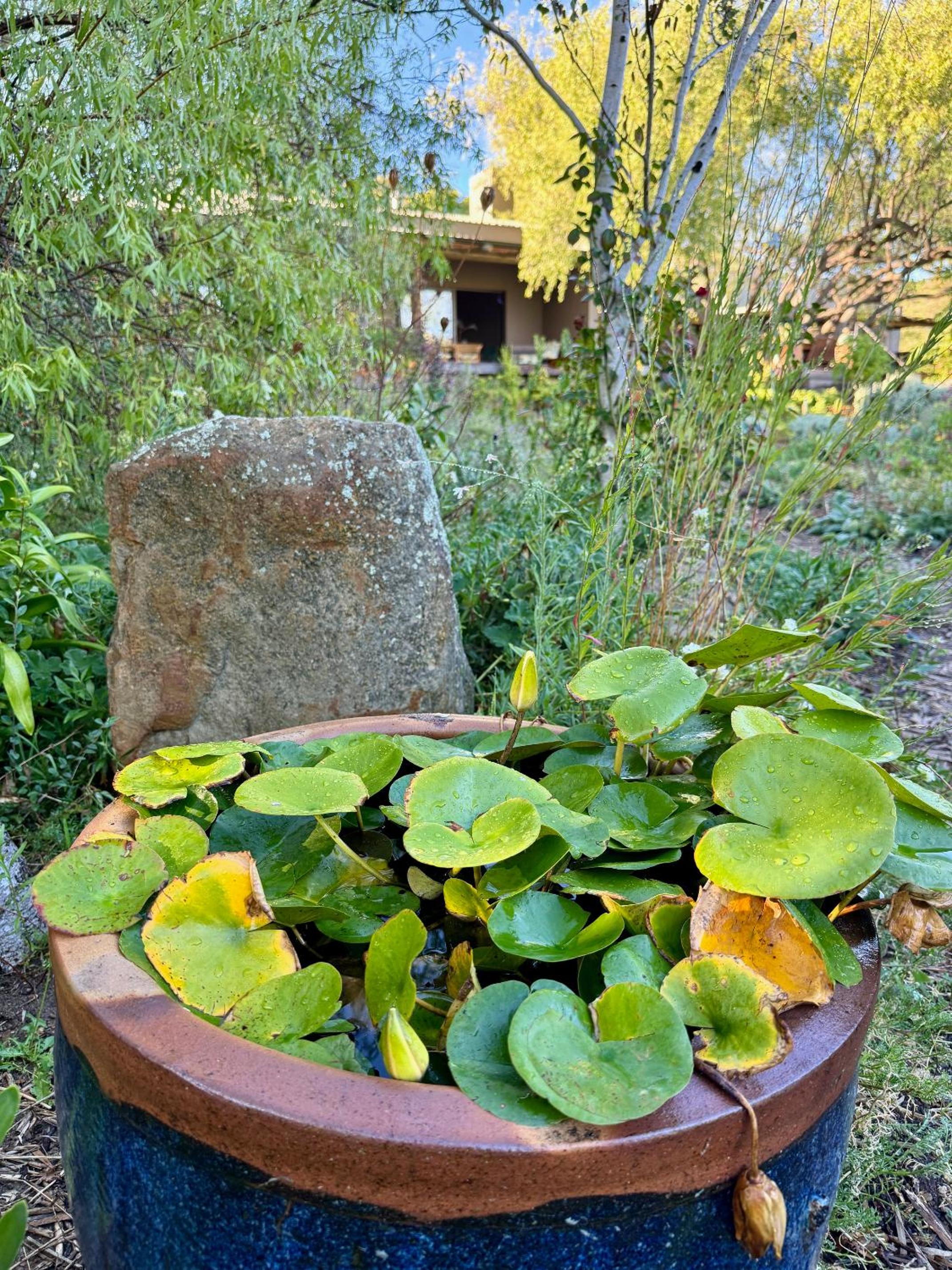 Photo 37