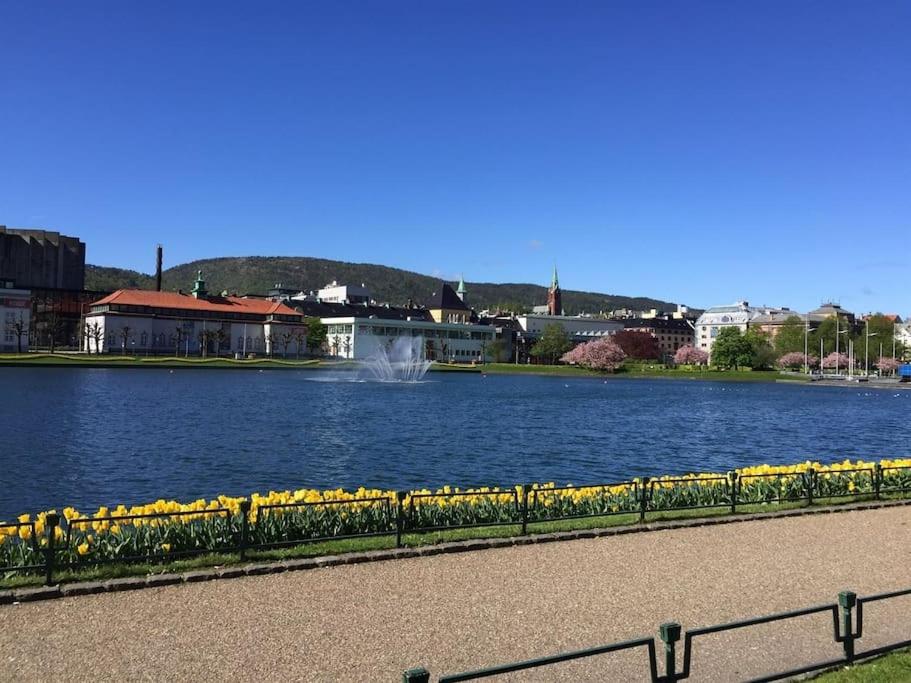 Central, spacious apartment en Bergen