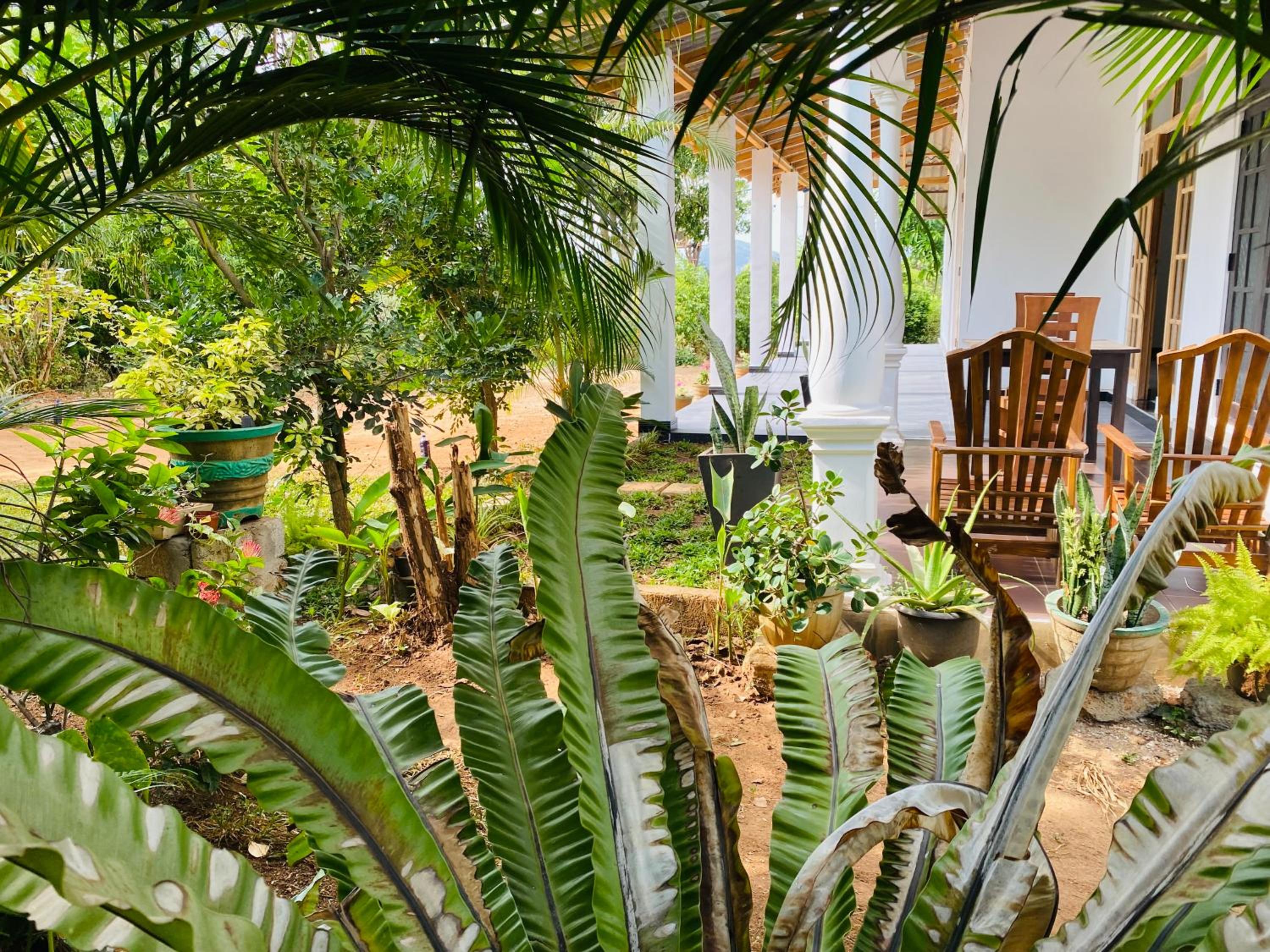 Fairview Dill homestay