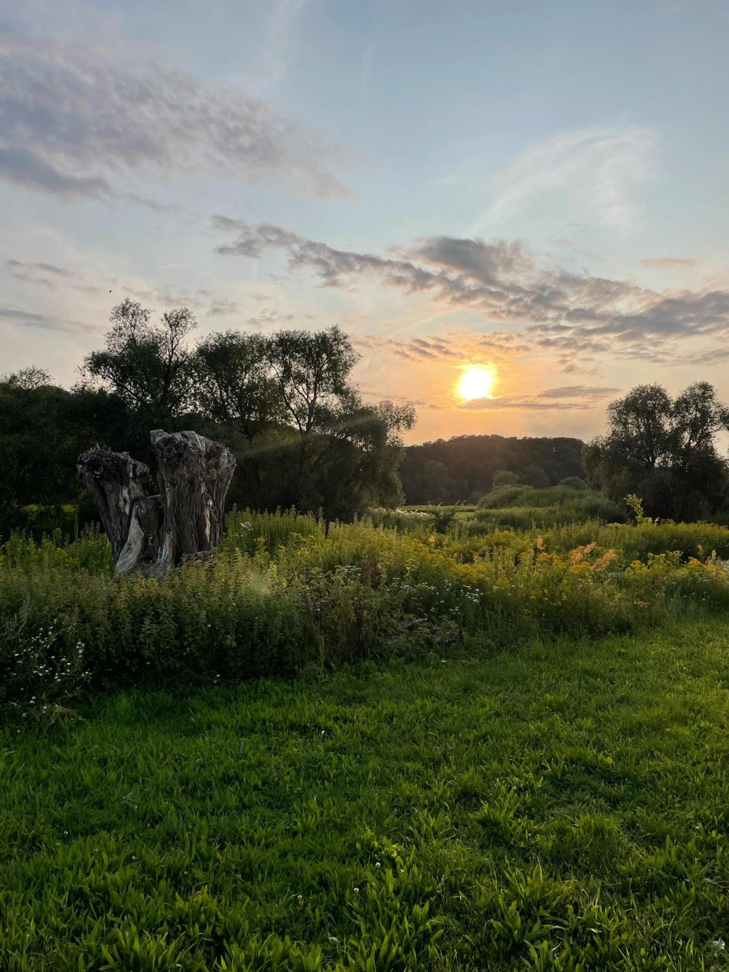 Haus am Wald in Hitzacker Elbe Wendland