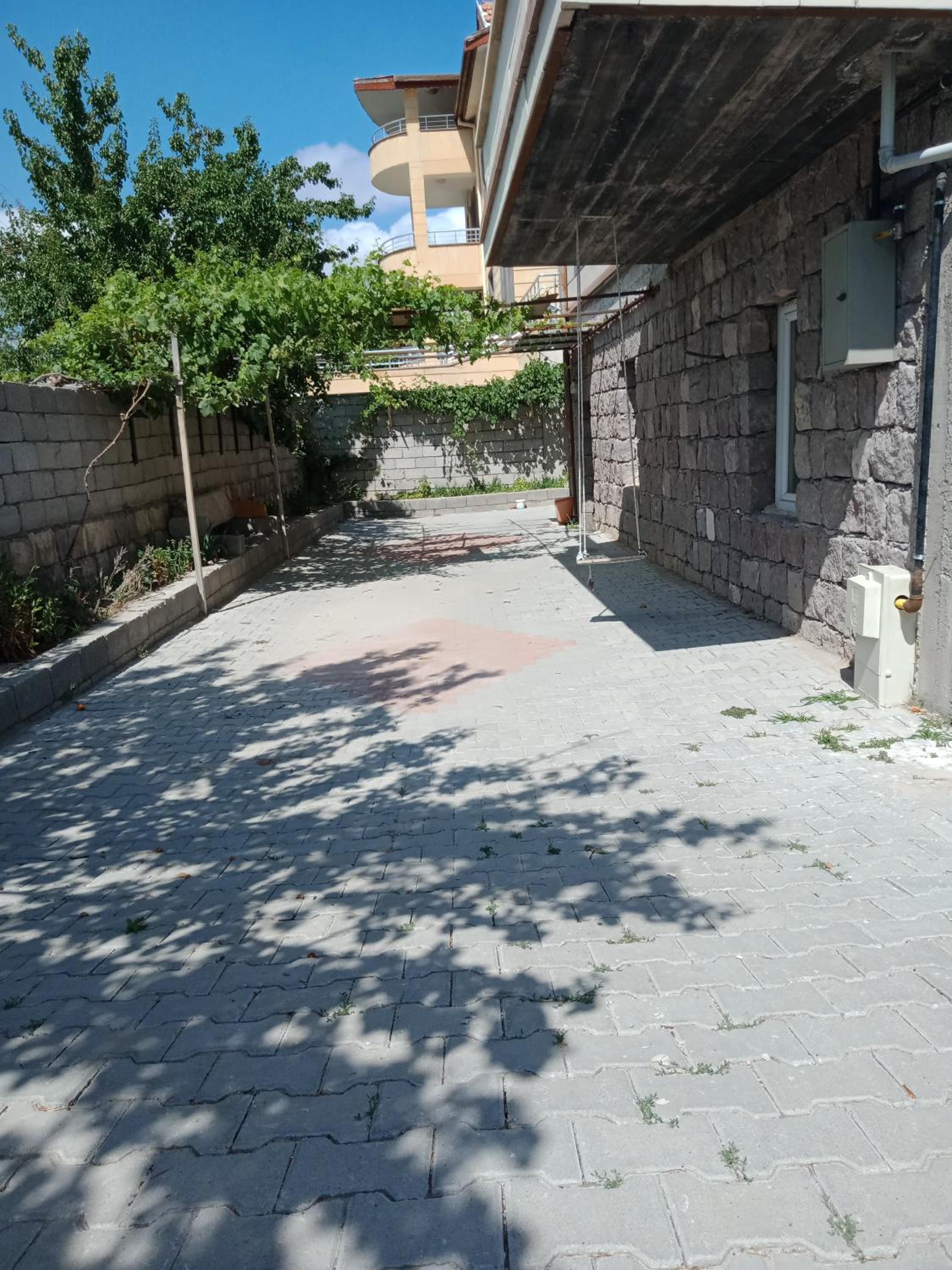 Photo 19