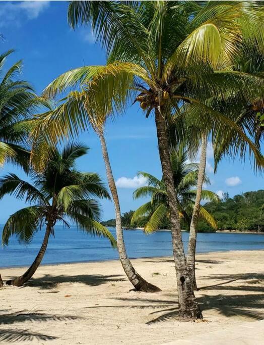 Destinations Roatan with Private Pool view 5