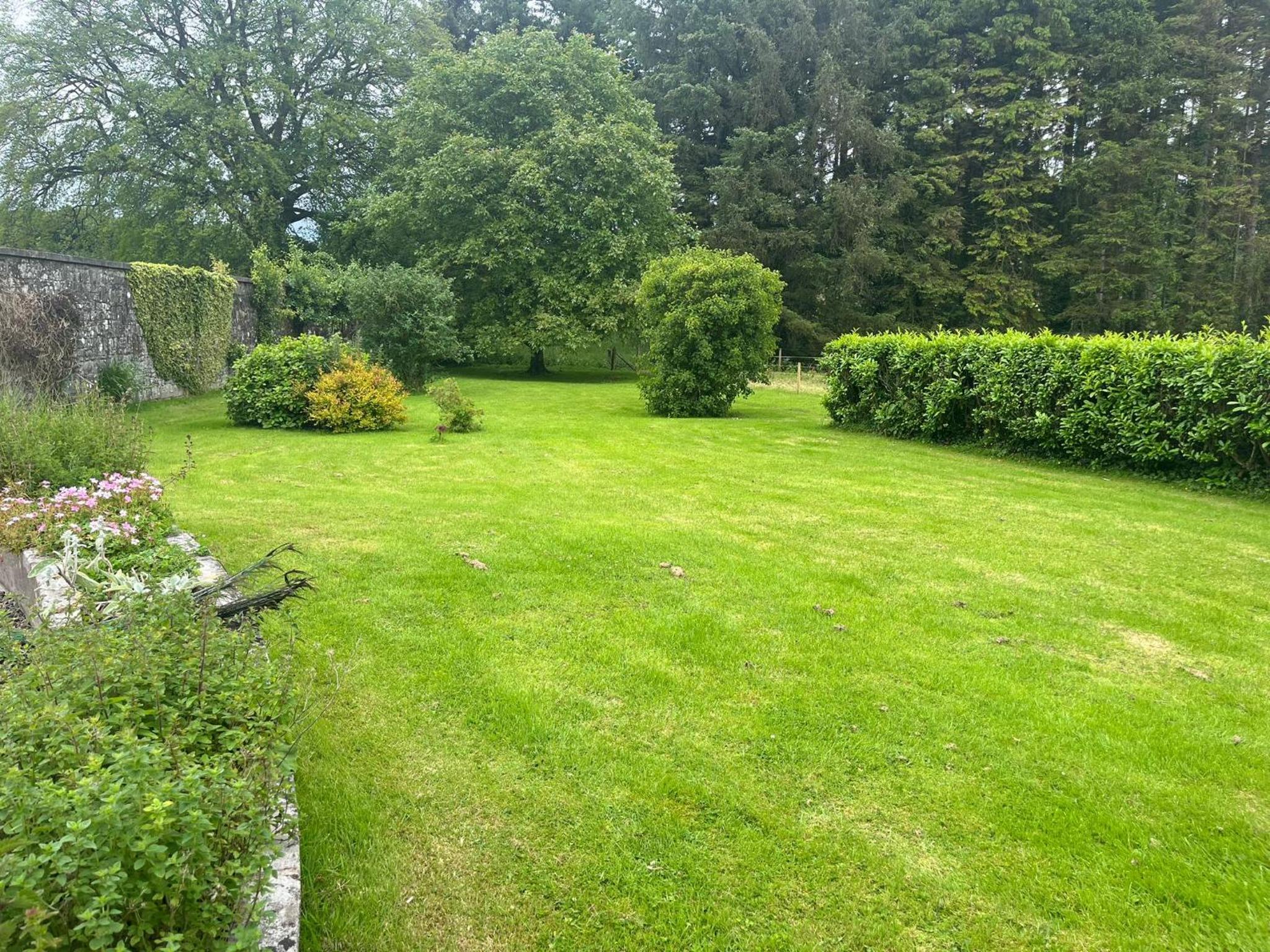 Blessingbourne Cottages & Apartments view 4