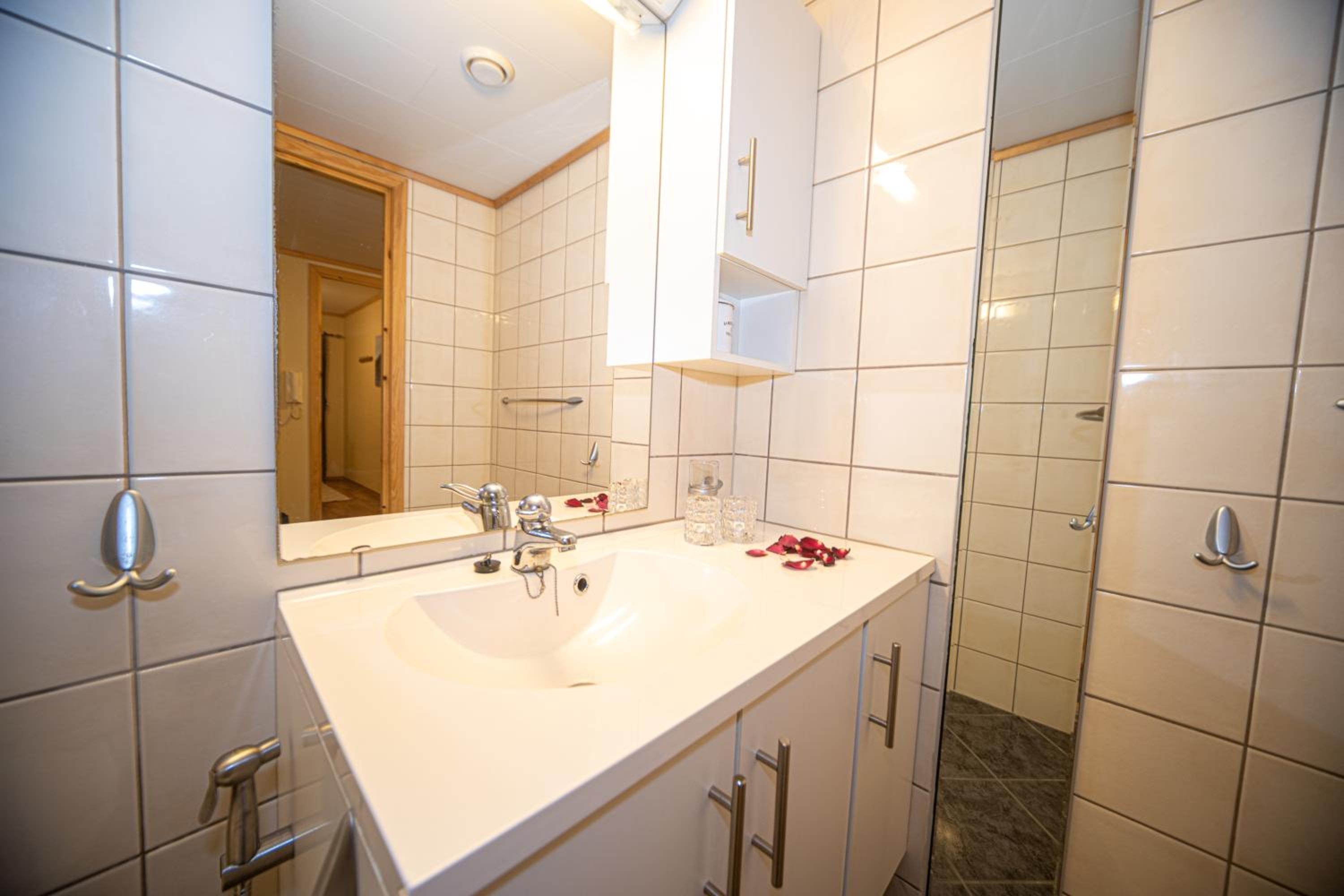 Supersentral 3-roms leilighet med parkering i garasje view 4