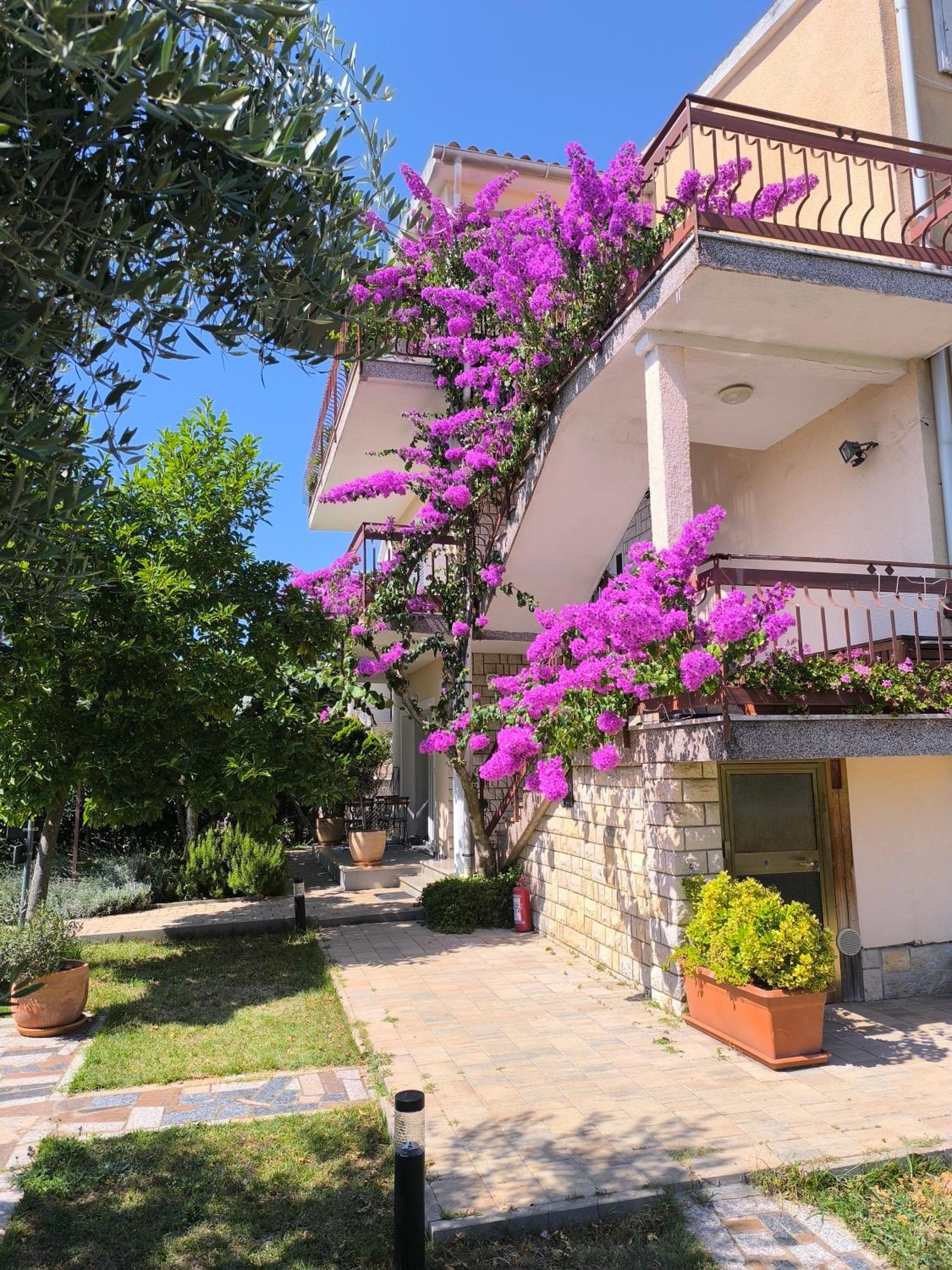 Apartments Lirio view 3