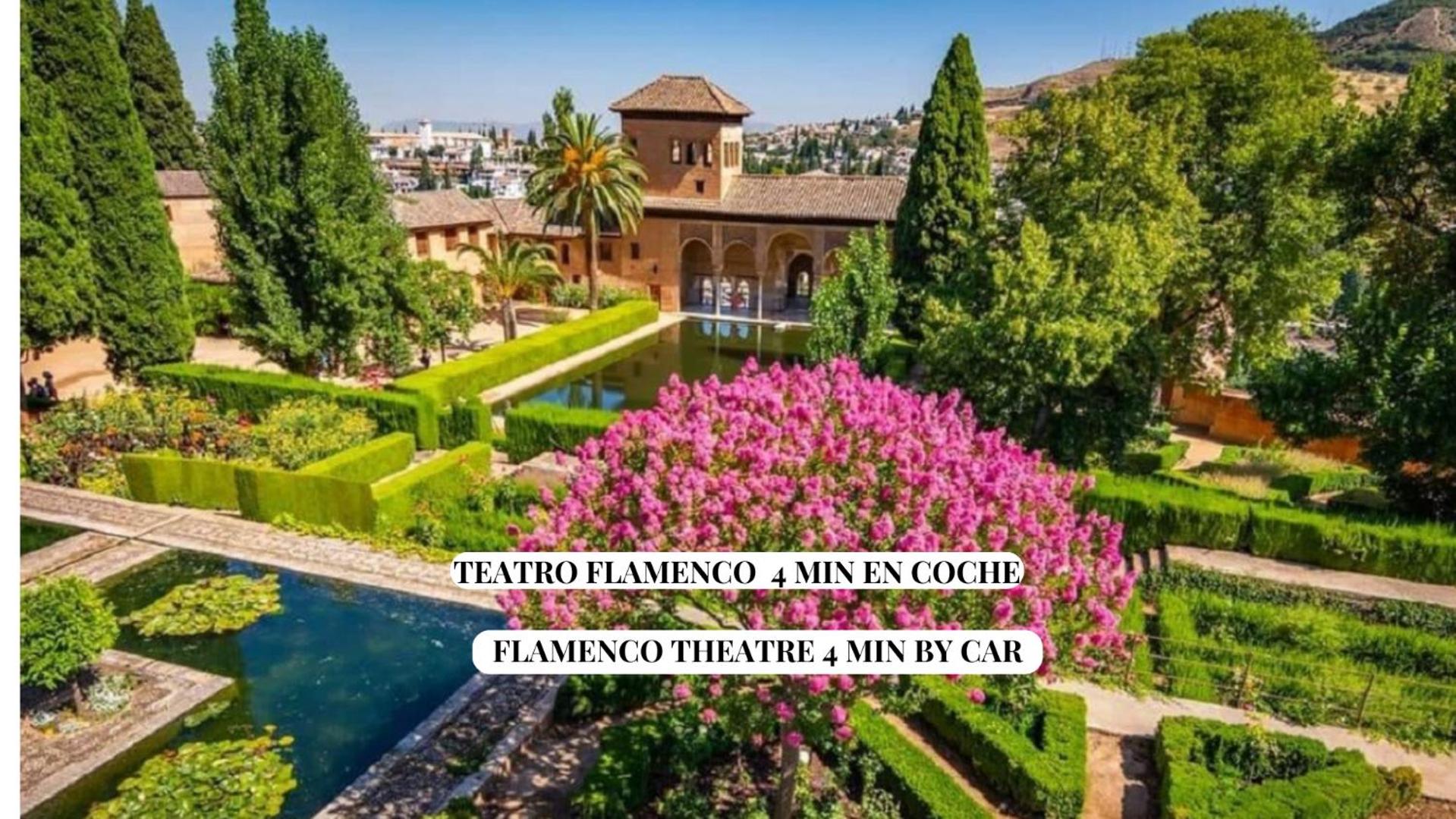 Apartamento Luna de Granada