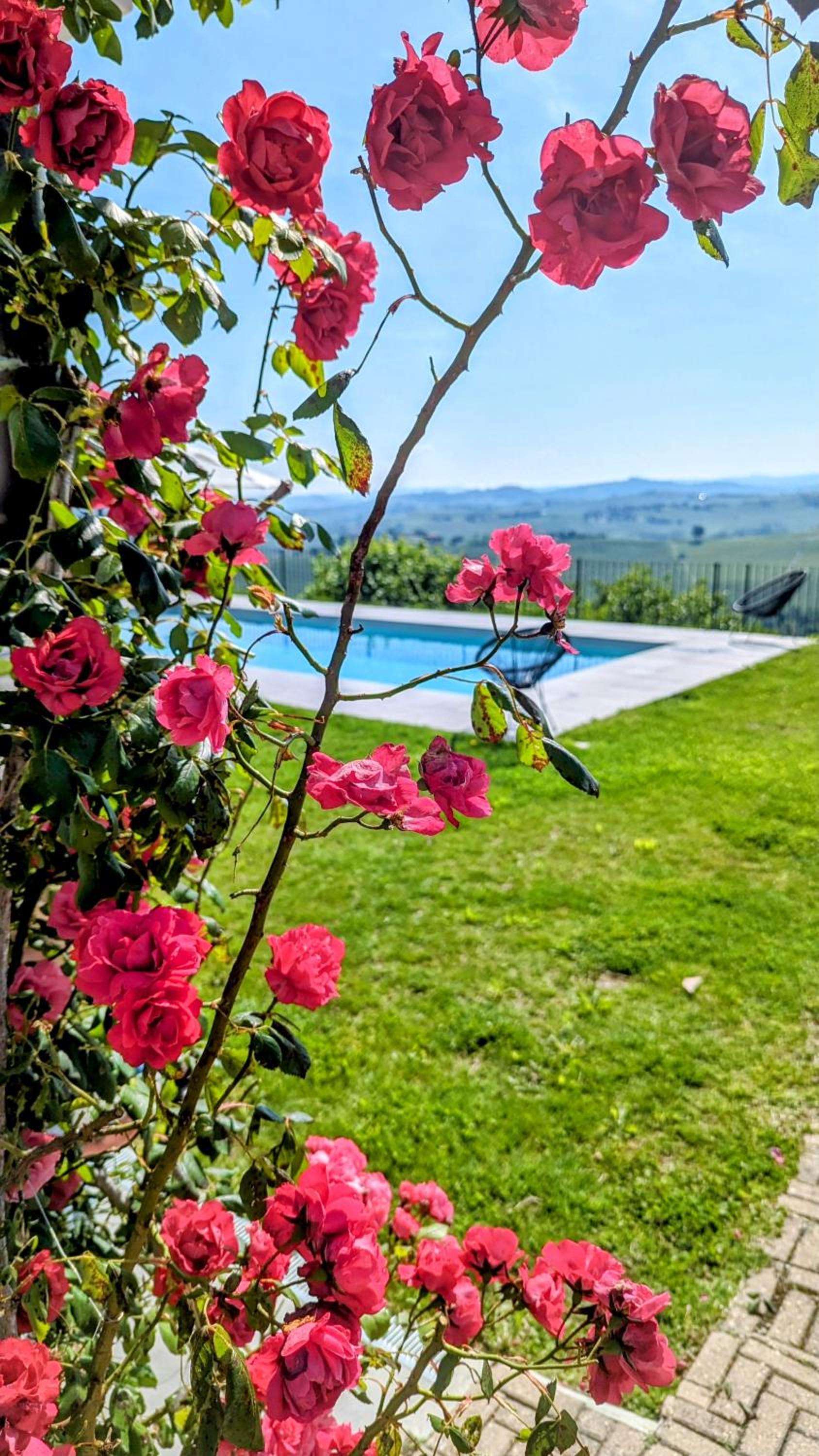 Villa Perla, hilltop location with pool