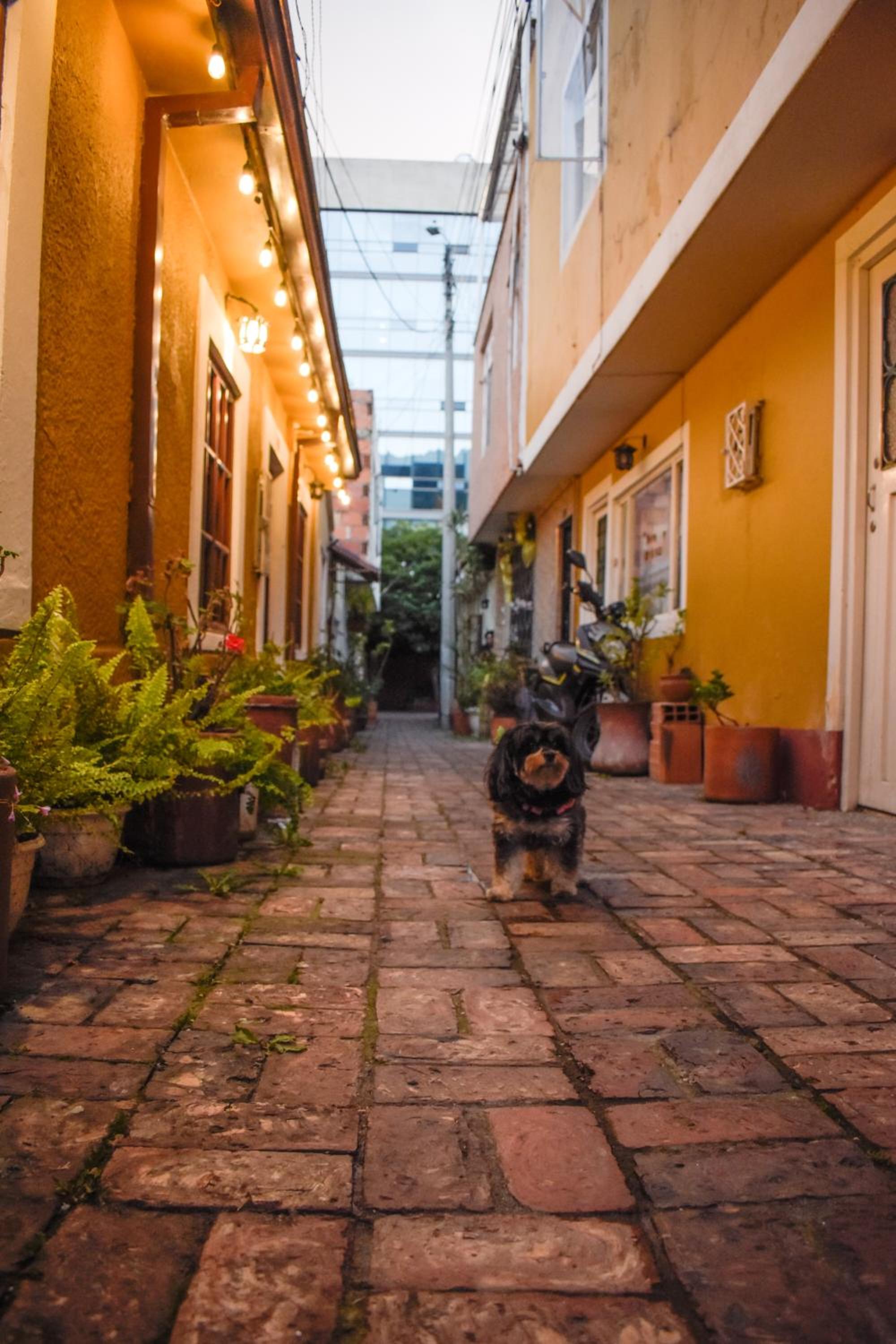 Usaquen Station Hostel - Property Image 36