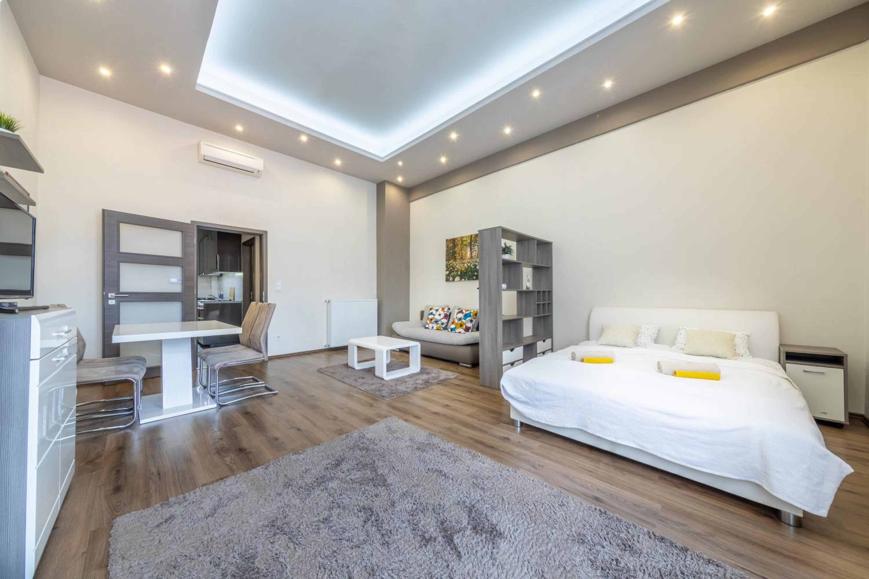 Eagle-eye downtown apartments by souperapartments