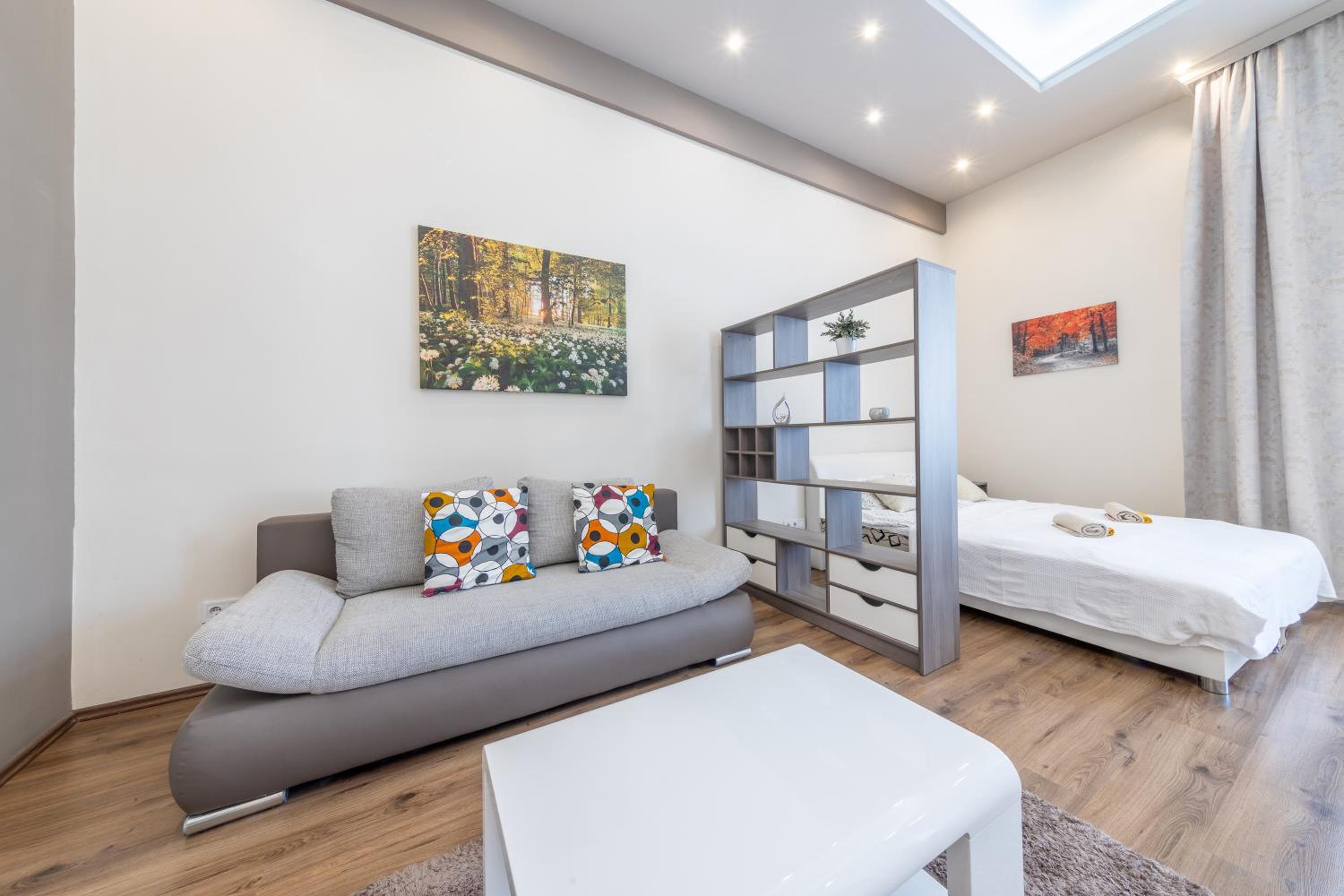 Eagle-eye downtown apartments by souperapartments