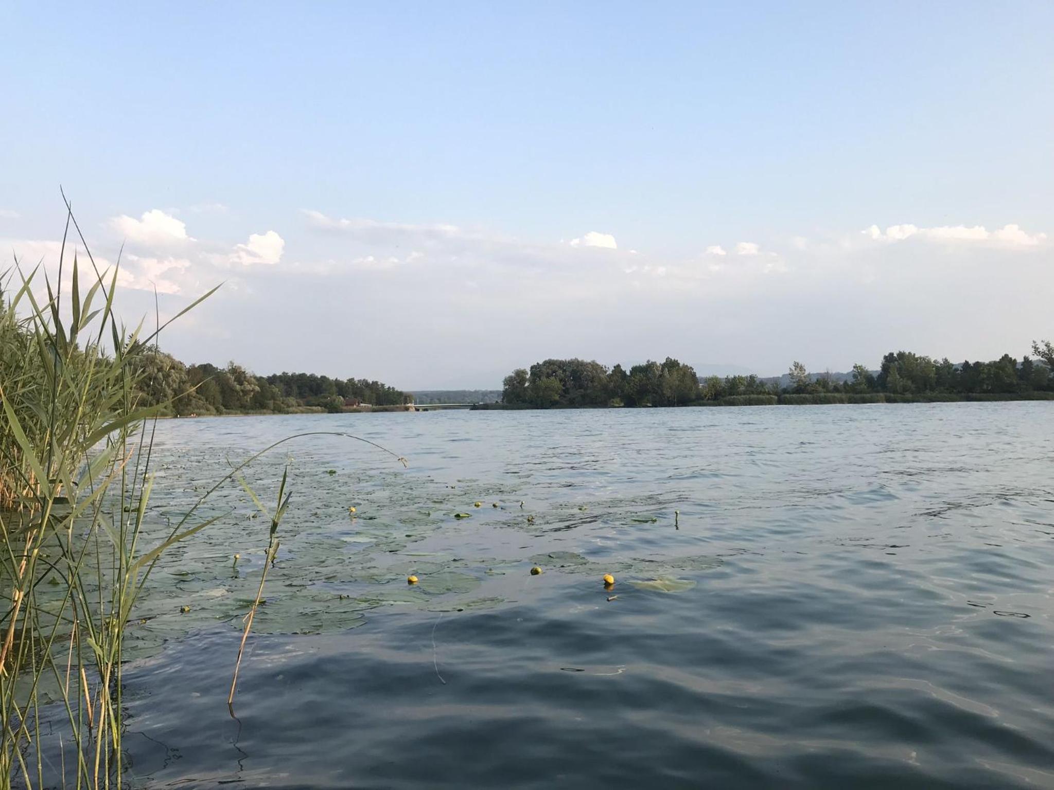 Ferienwohnung Alpenblick