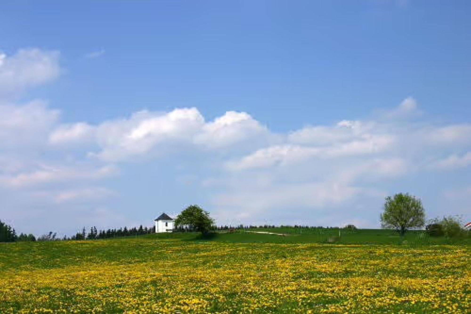 Ferienwohnung Alpenblick