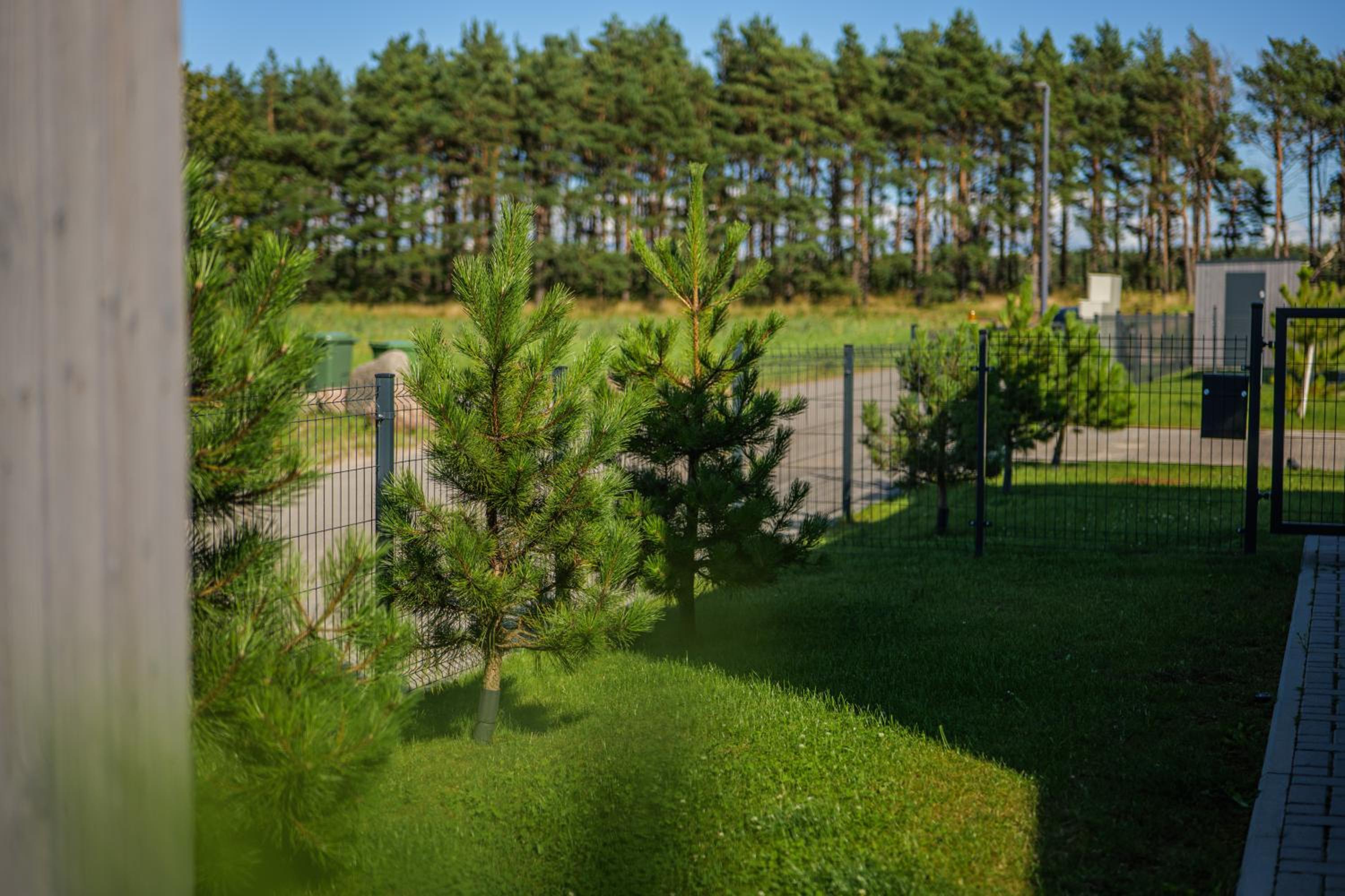 Guest house Kunigiskes view 5