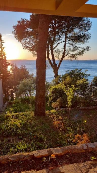 Serenity Primosten apartment